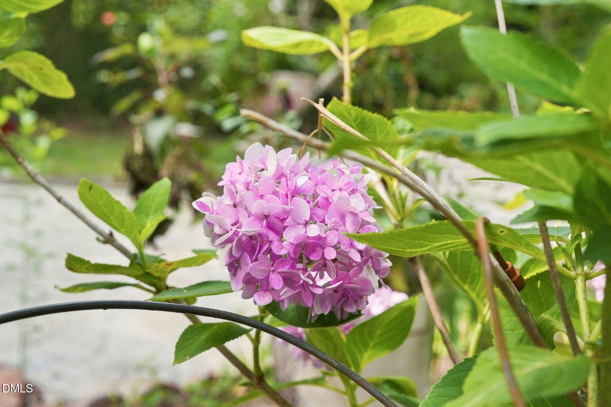 main property photo 49