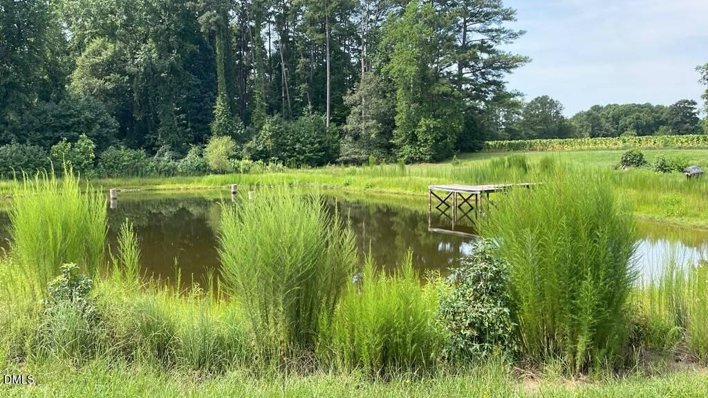 main property photo 59