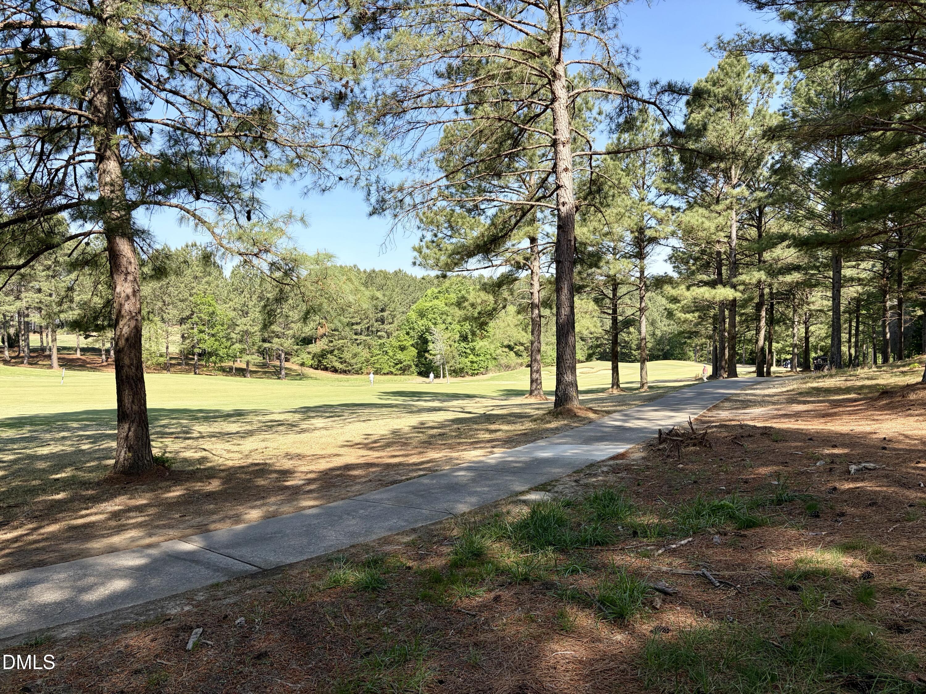 main property photo 91