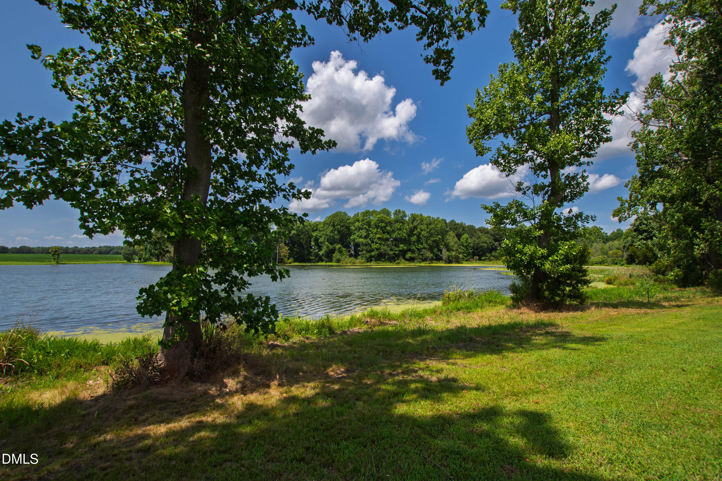 main property photo 58