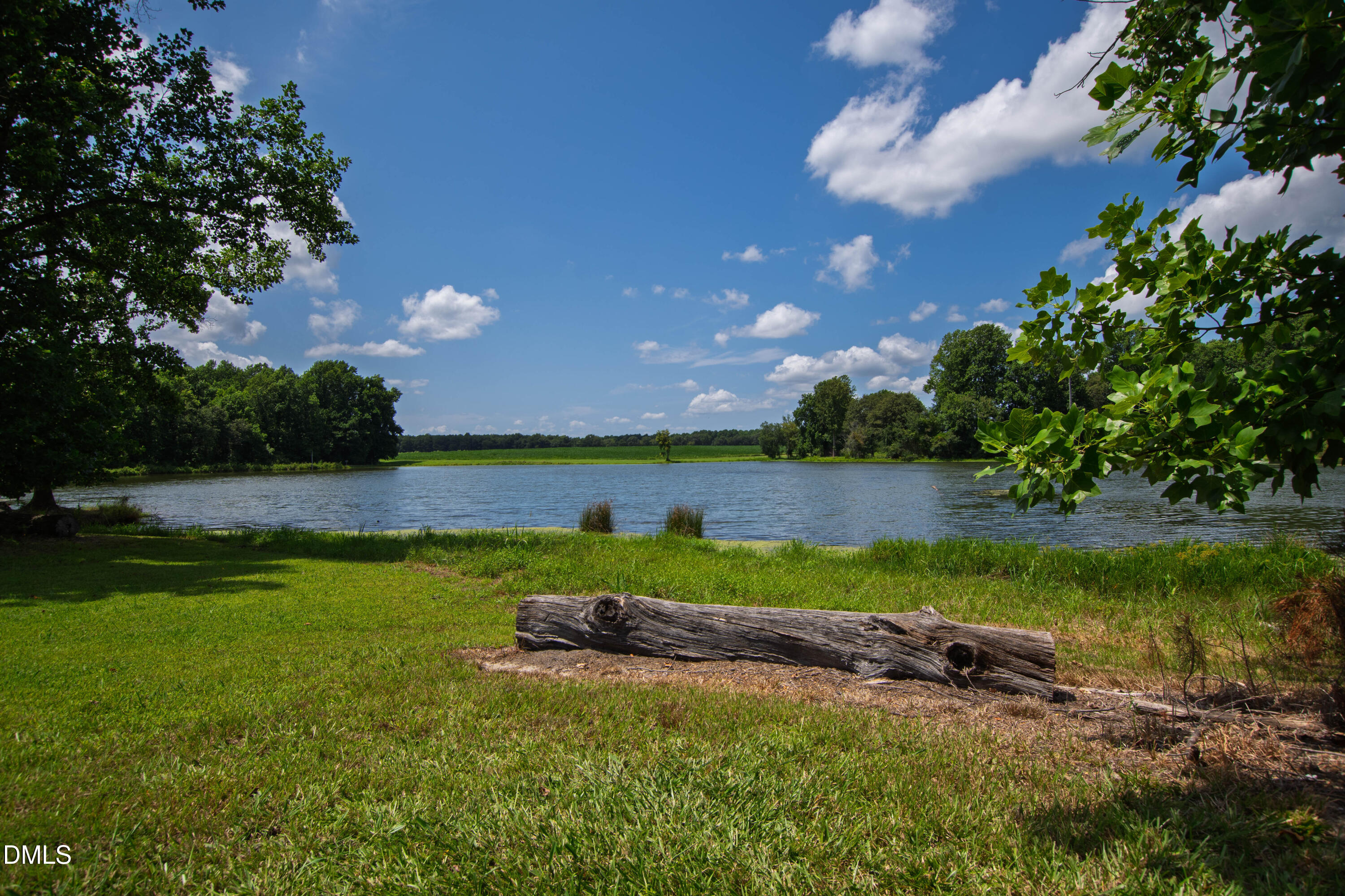 main property photo 59