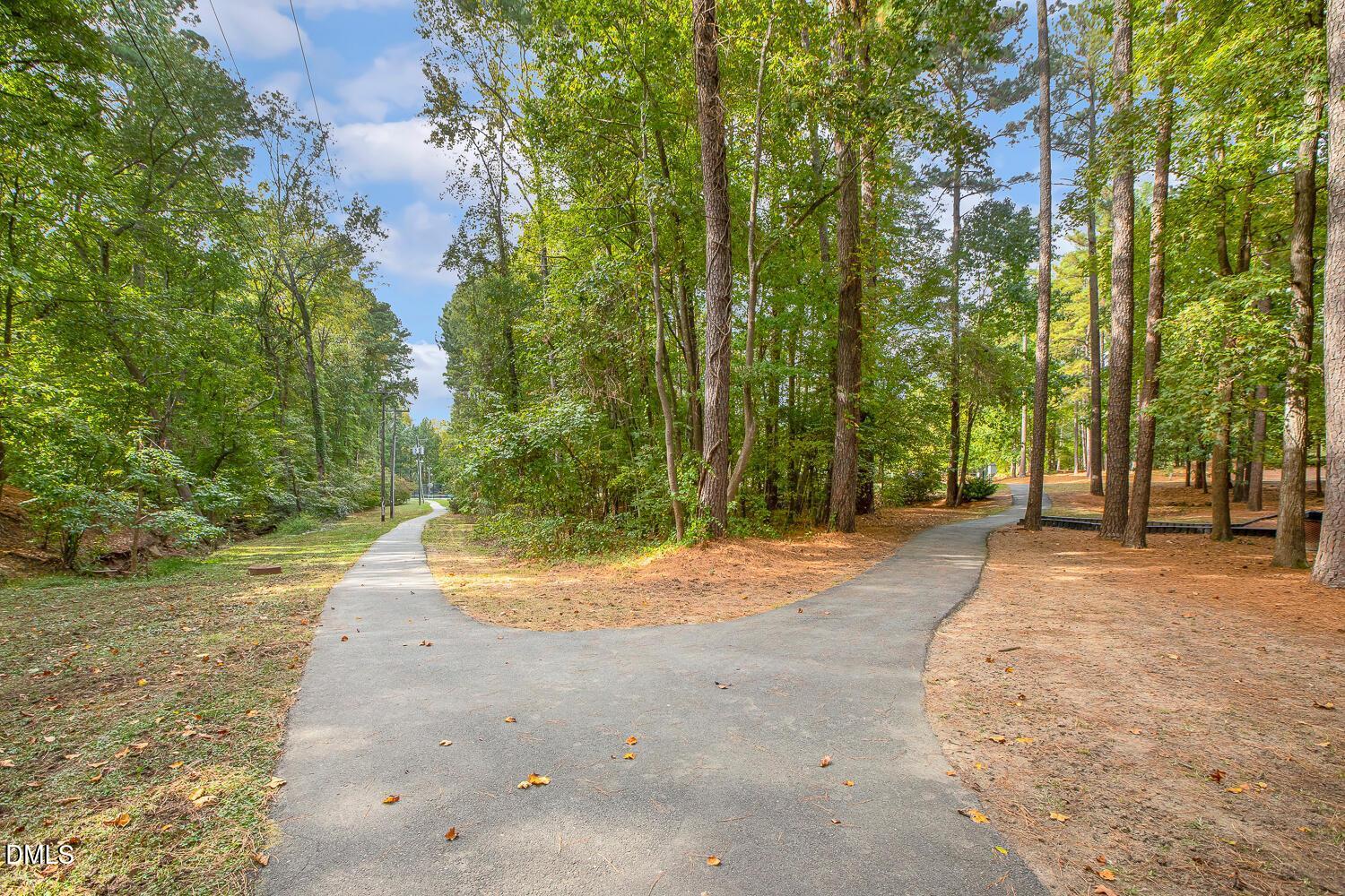 main property photo 61