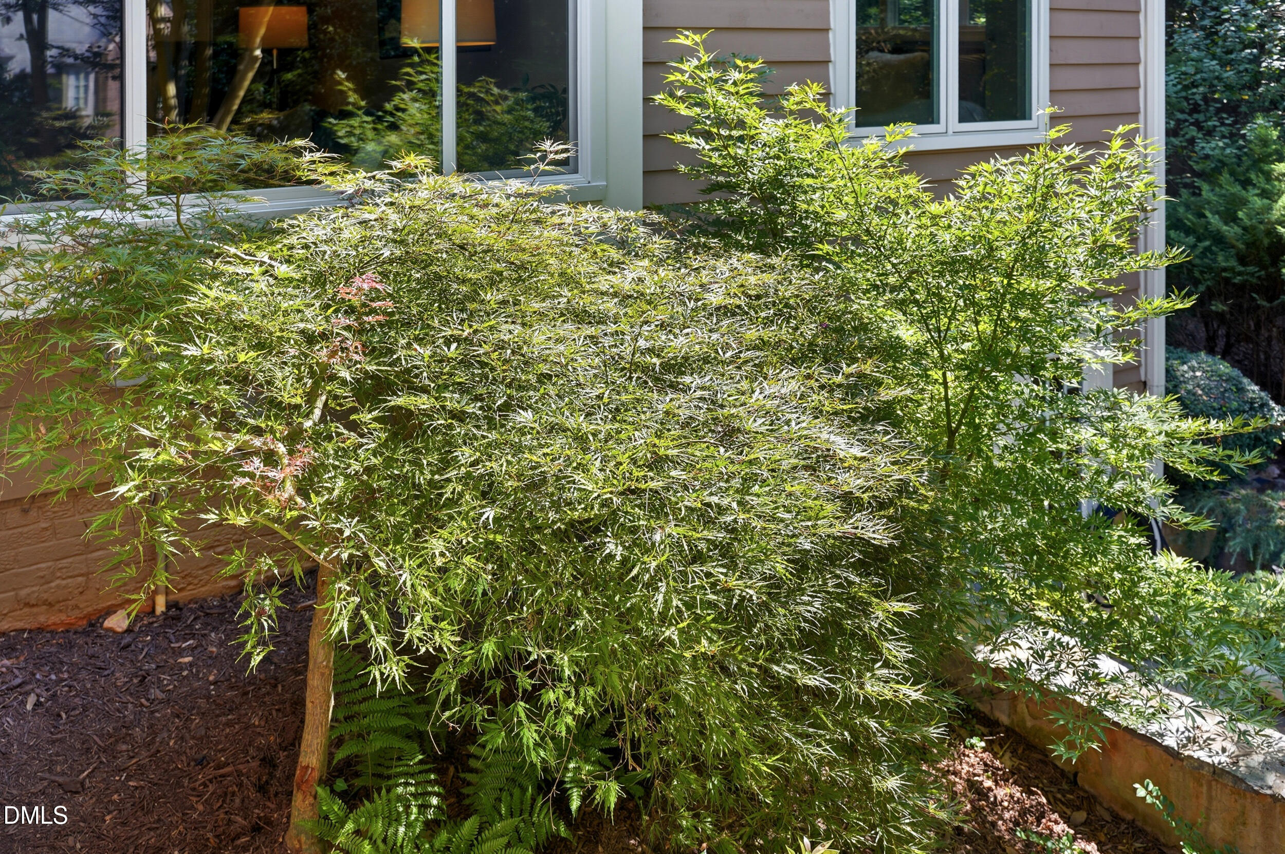 main property photo 81