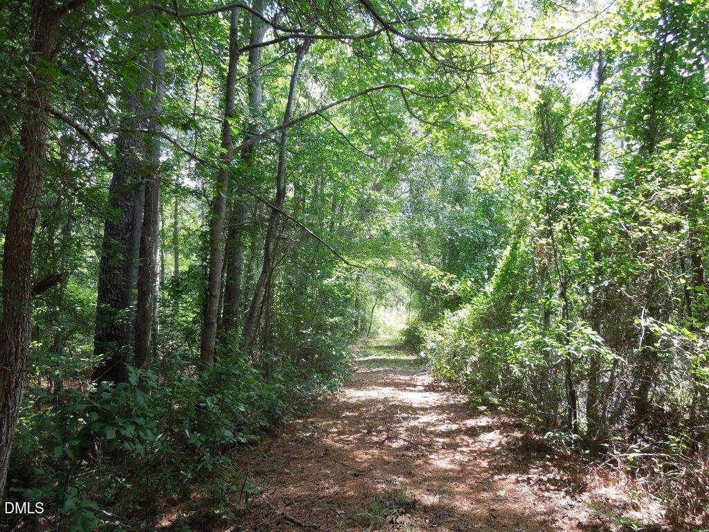 main property photo 10