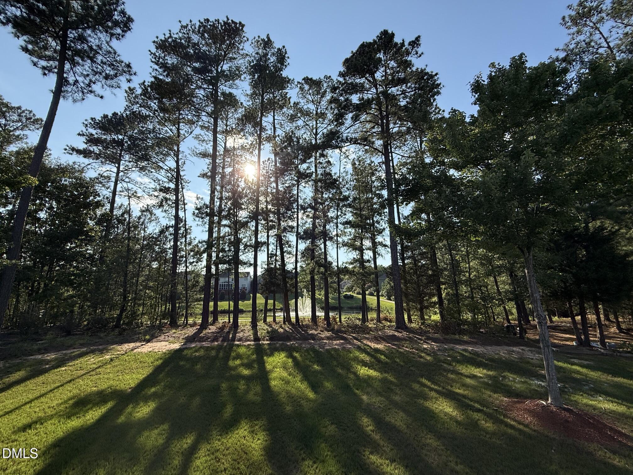 main property photo 48