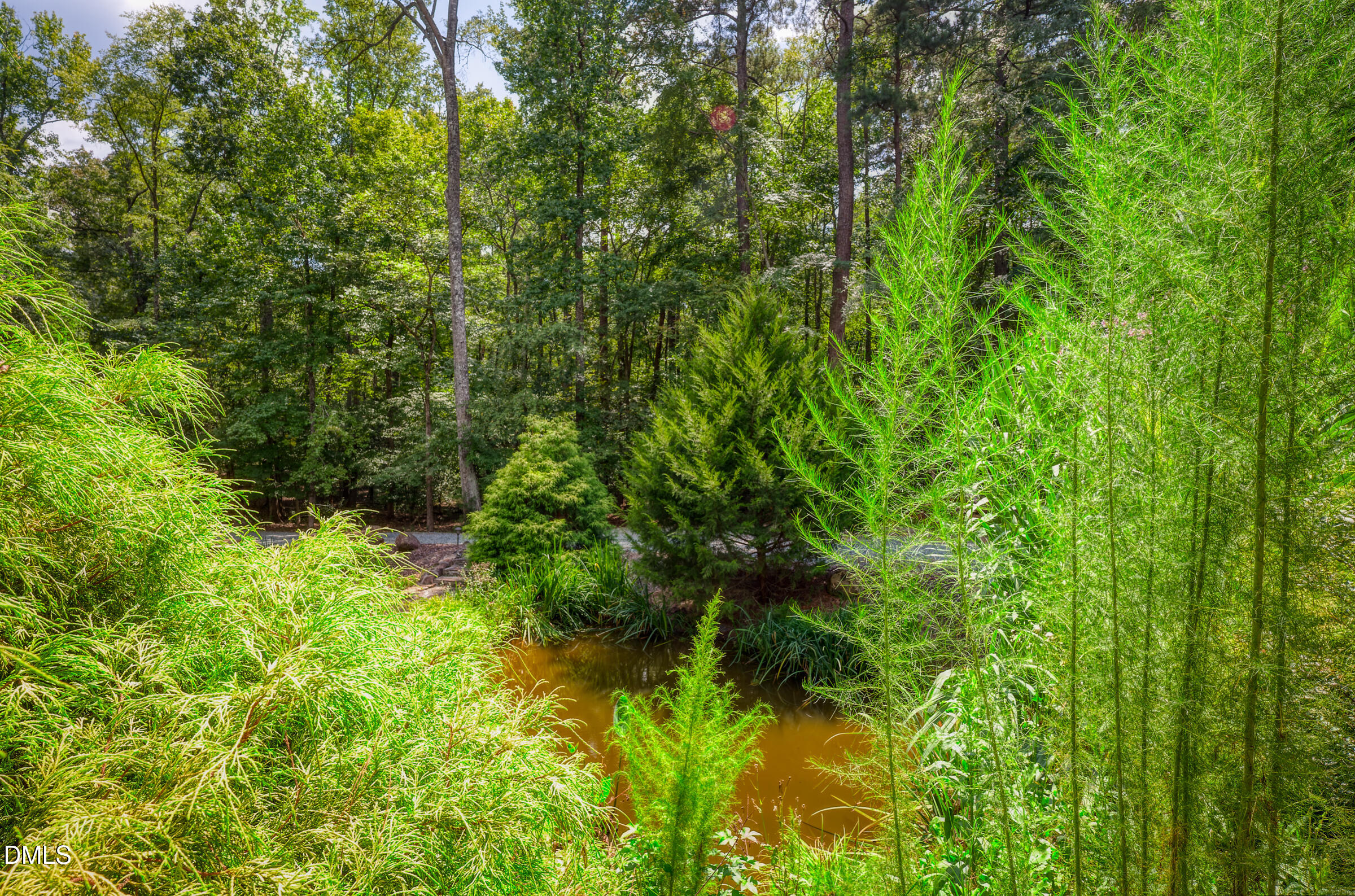 main property photo 55