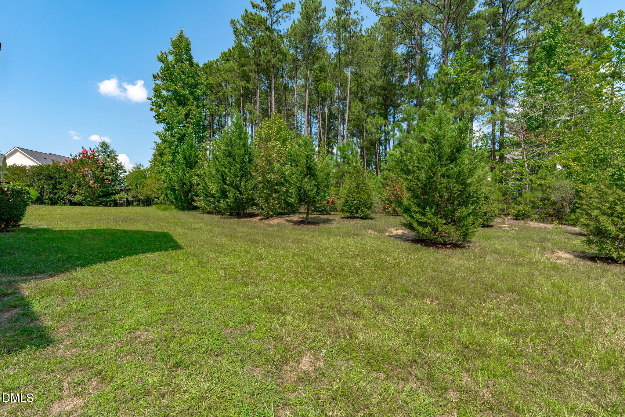 main property photo 54
