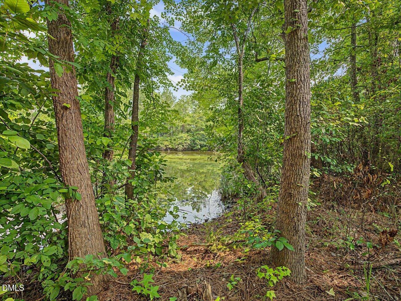 main property photo 43