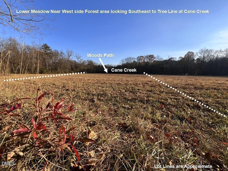 main property photo 26