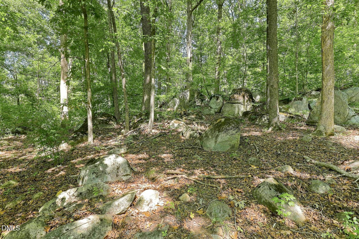main property photo 61