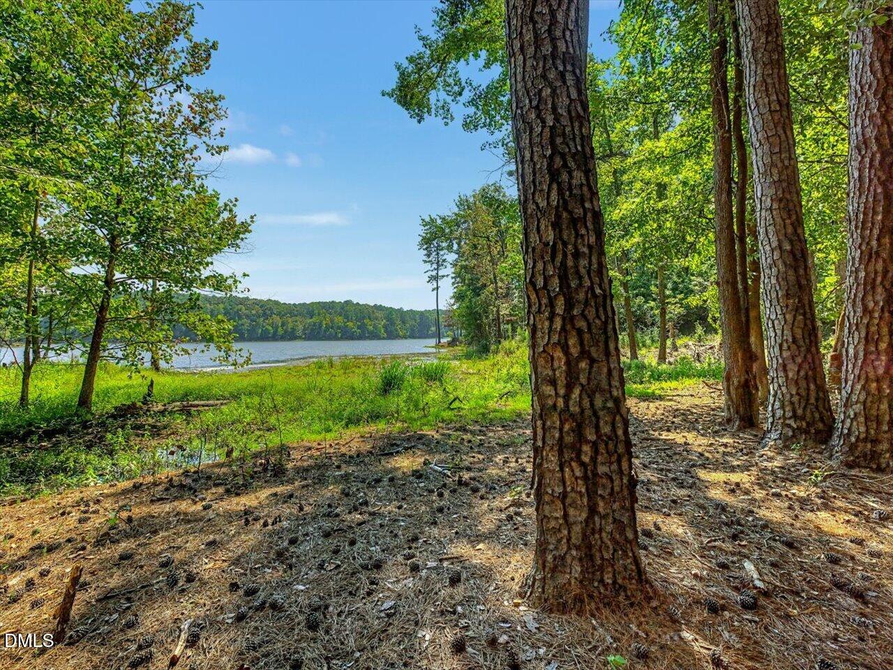 main property photo 74