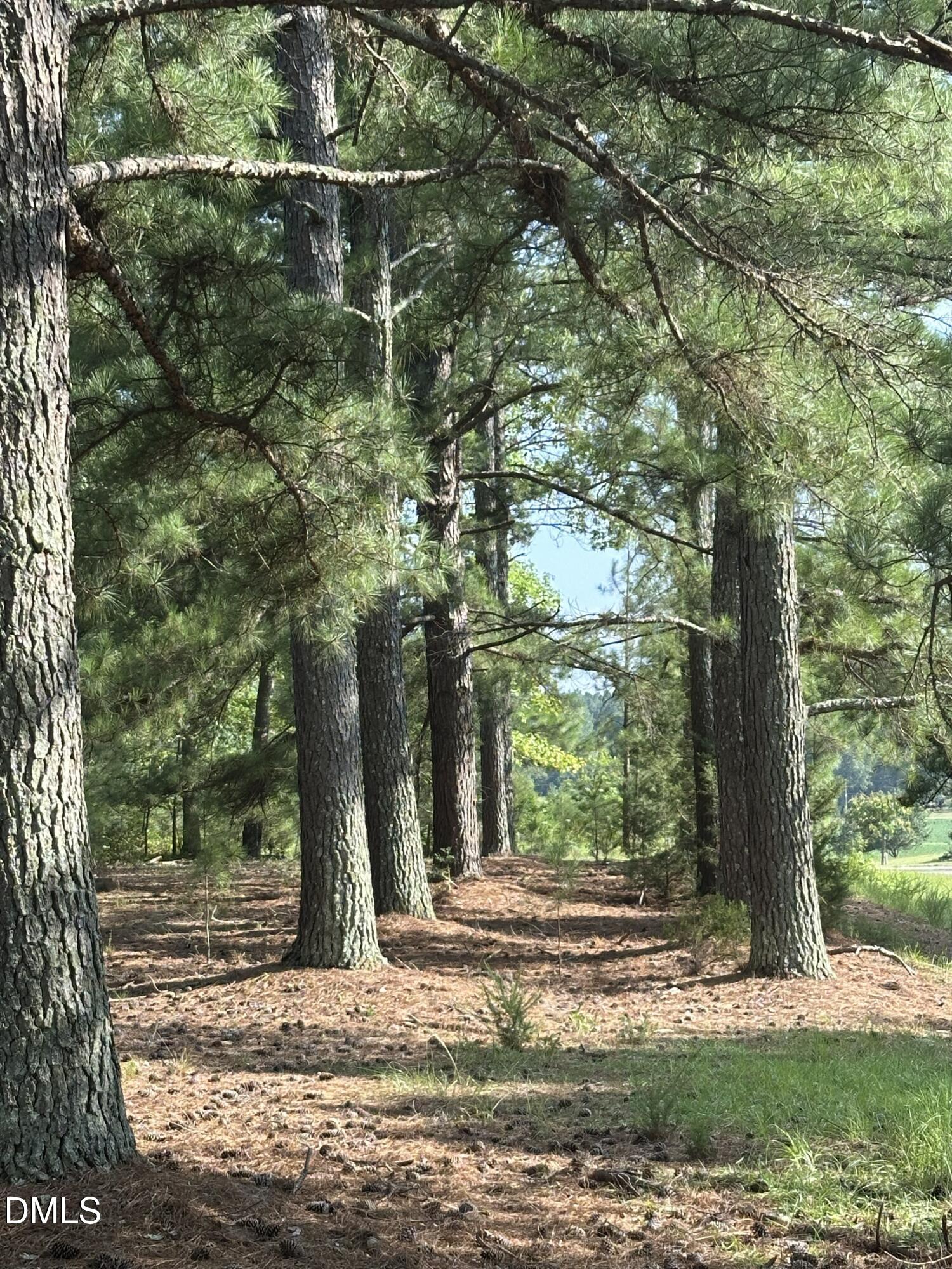 main property photo 19