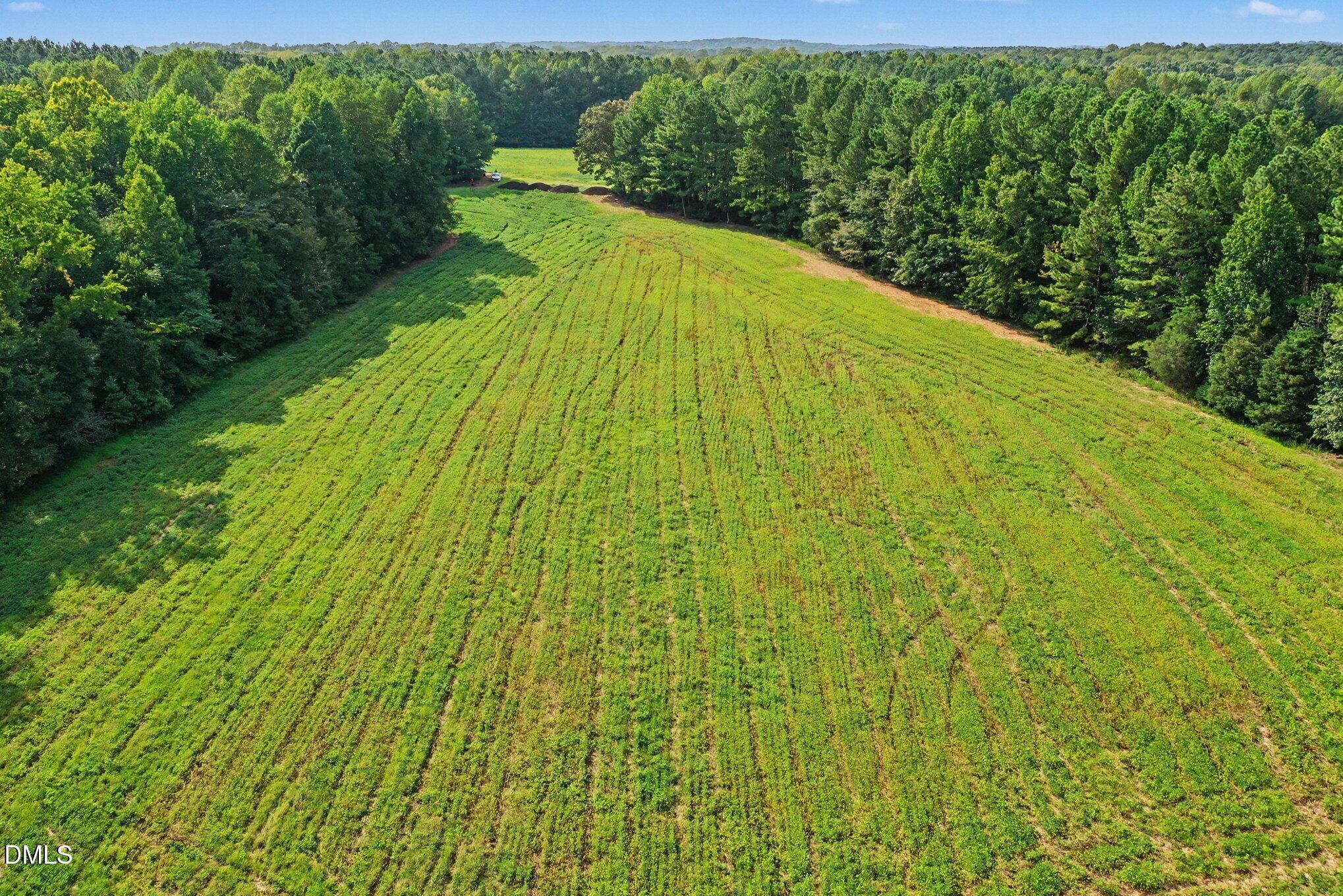 main property photo 25