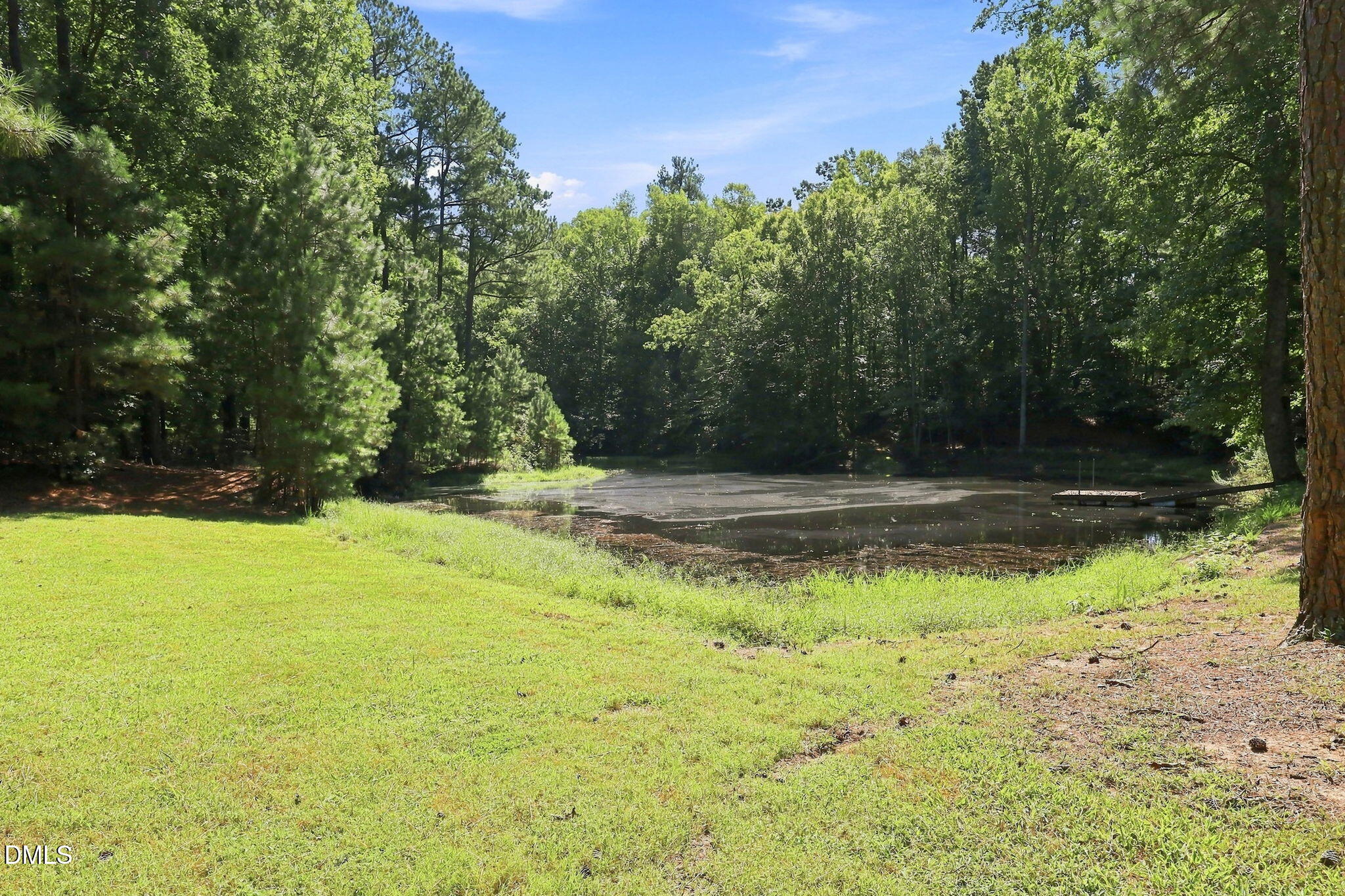 main property photo 54