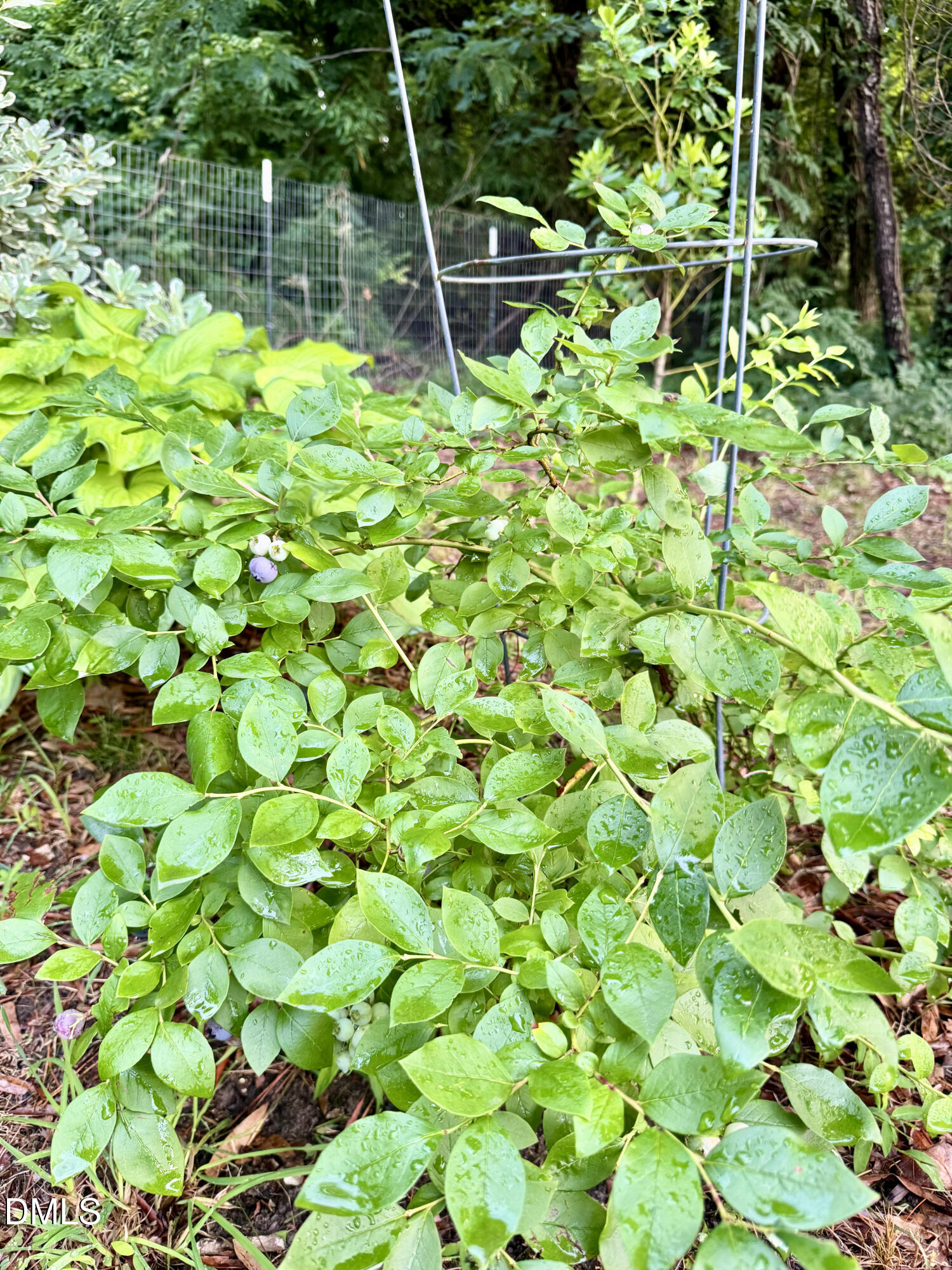 main property photo 15