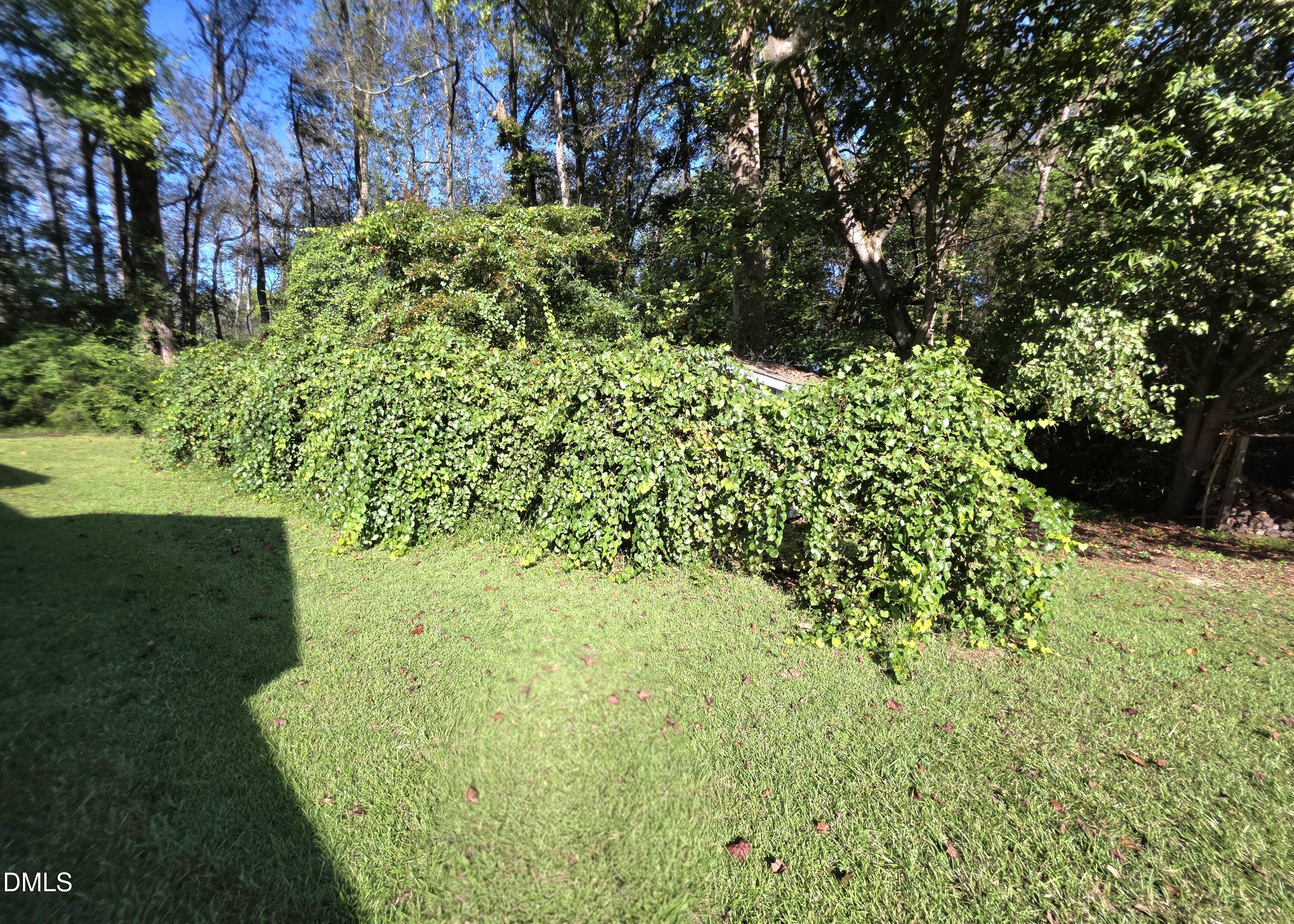 main property photo 41