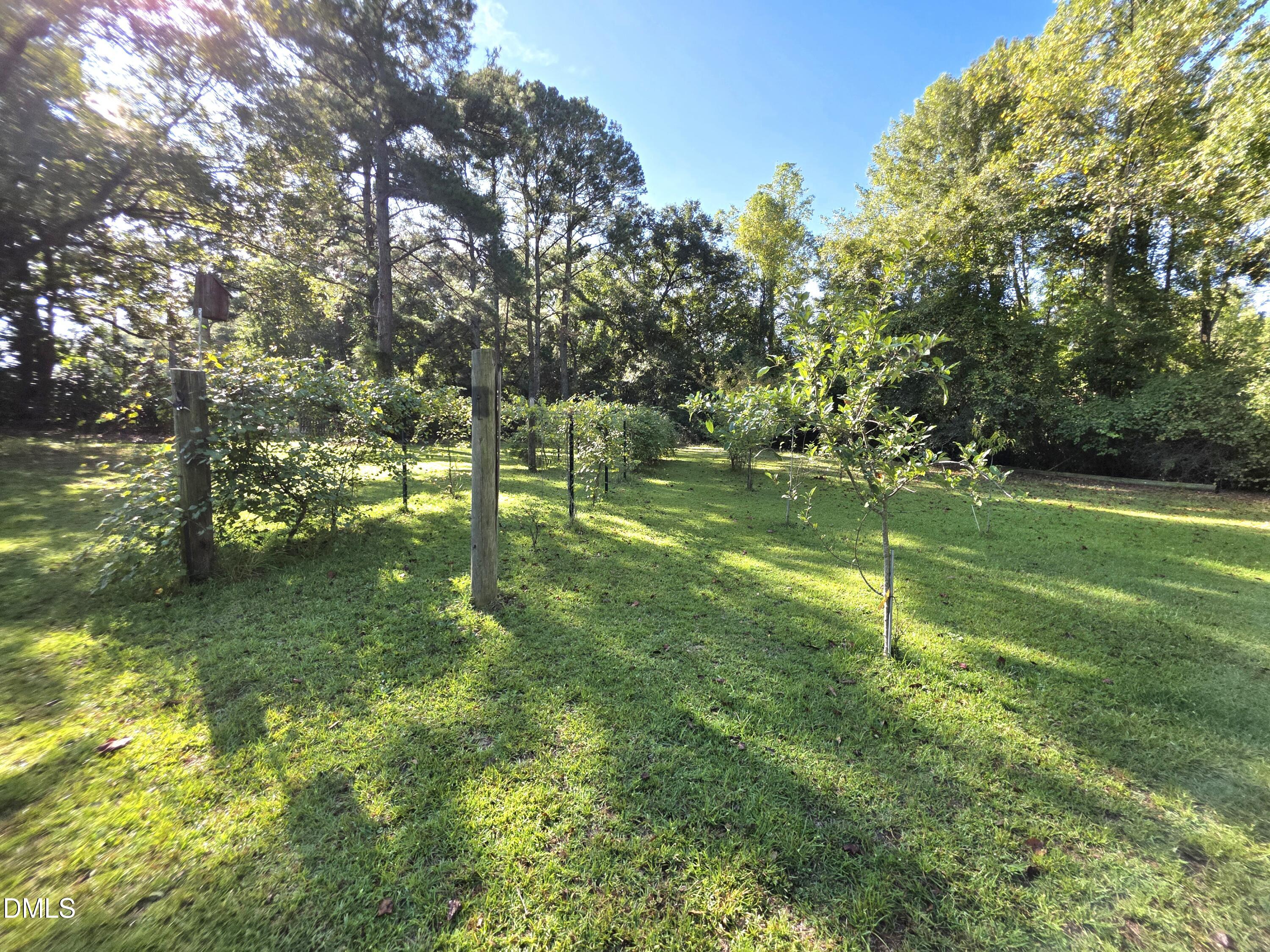main property photo 51