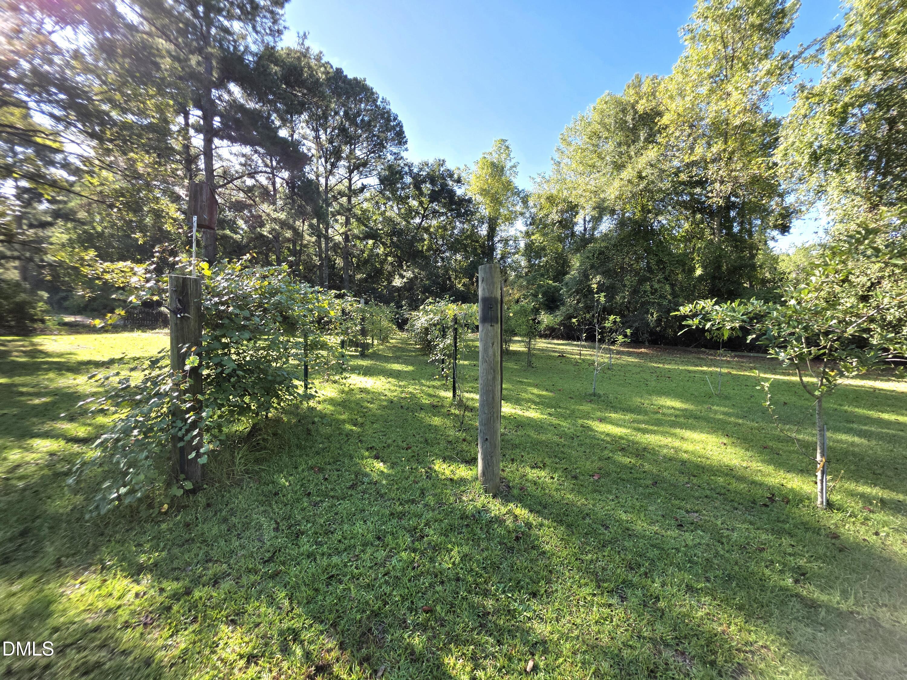 main property photo 52