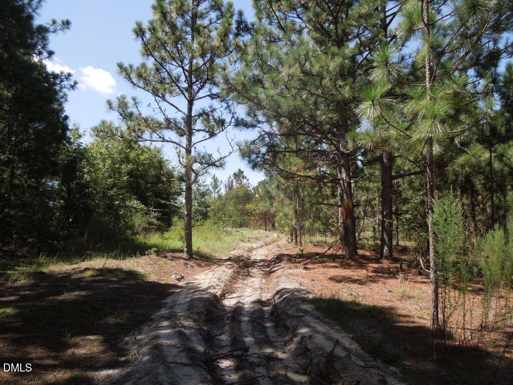 main property photo 11