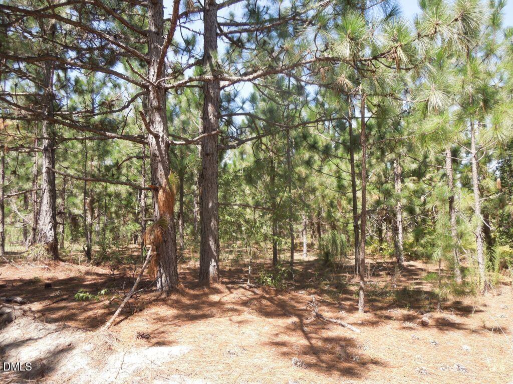 main property photo 12