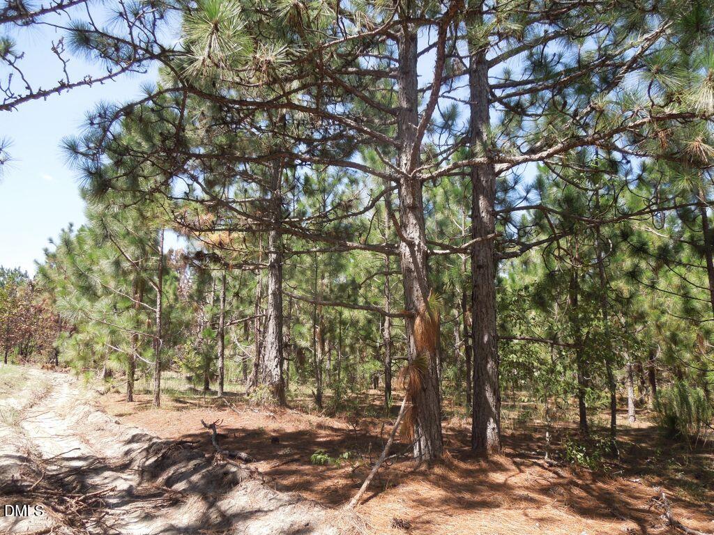main property photo 13