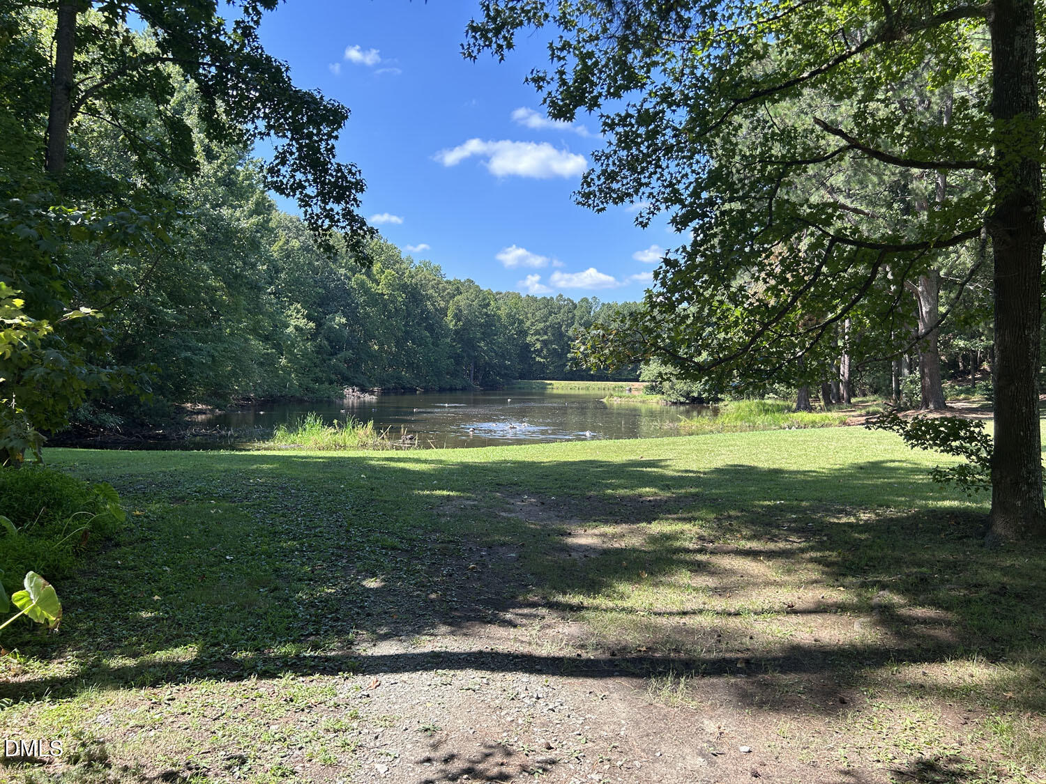 main property photo 97