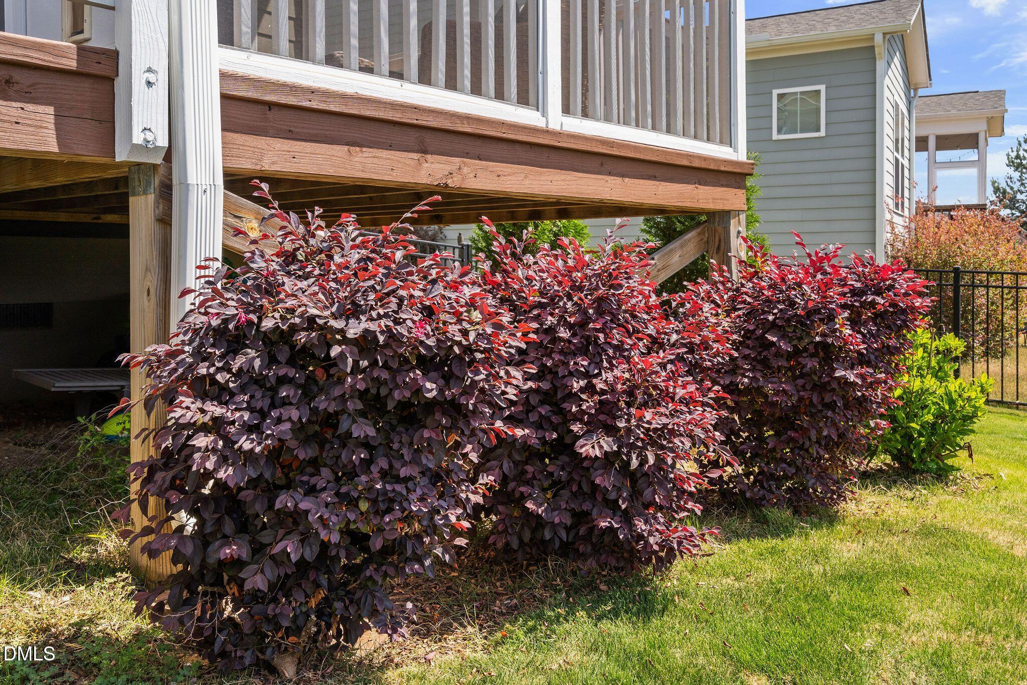 main property photo 64