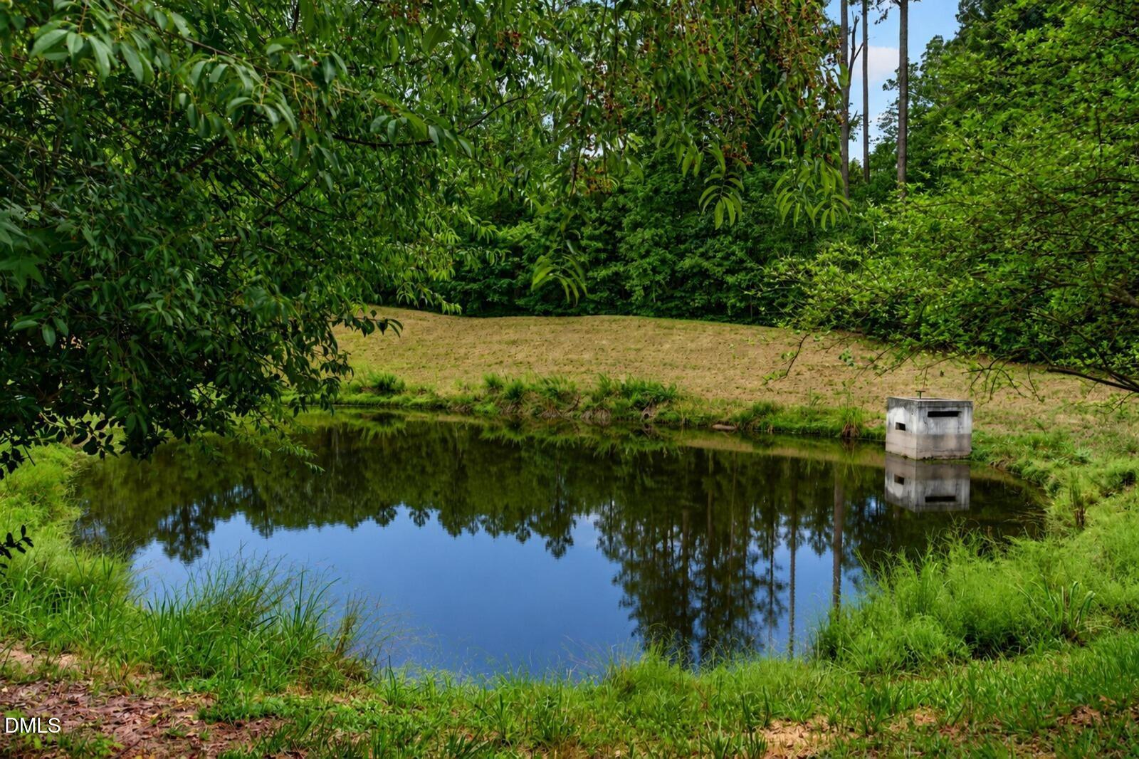main property photo 52
