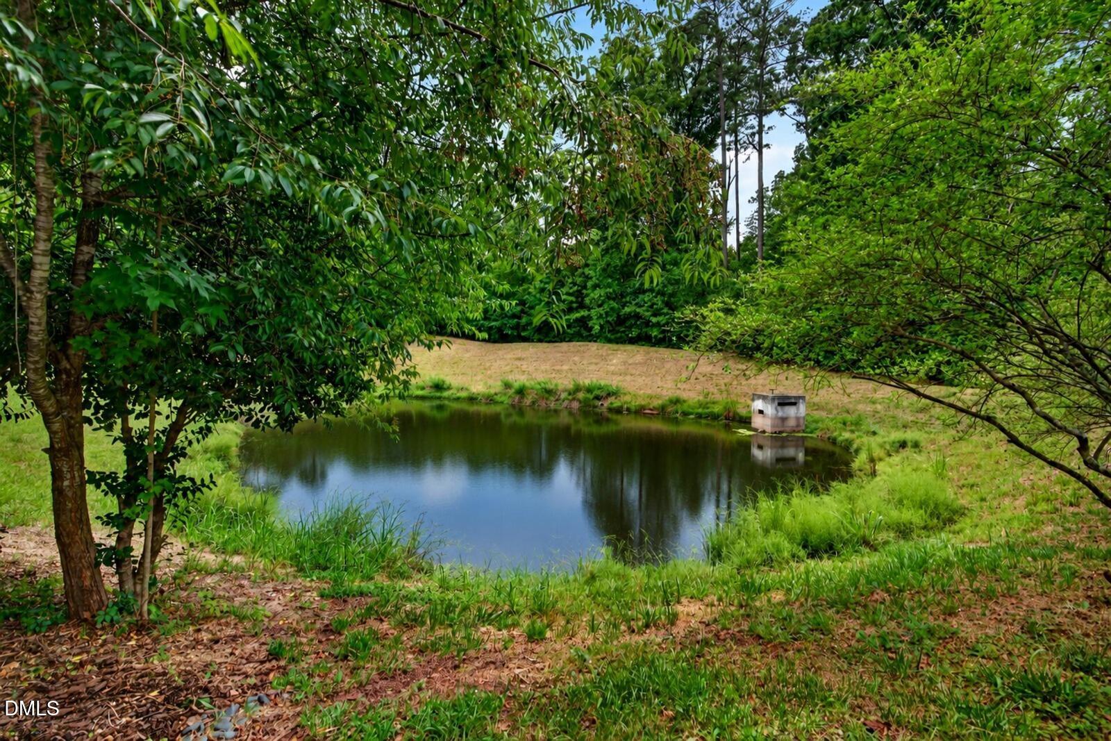 main property photo 53