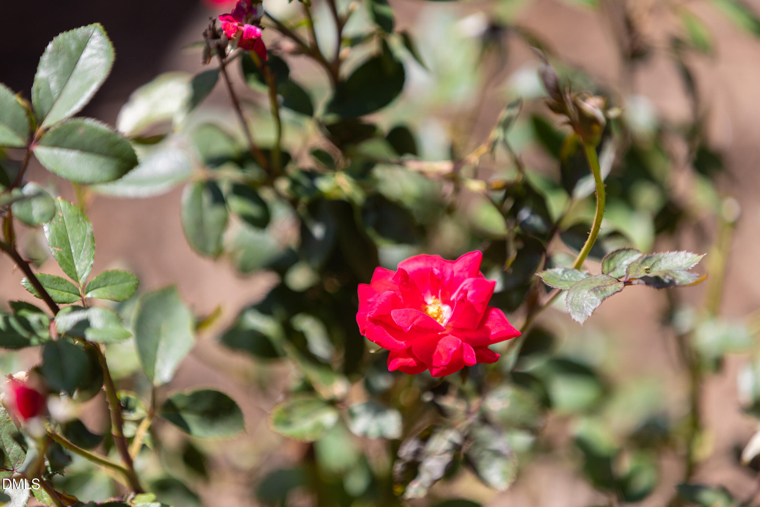 main property photo 58