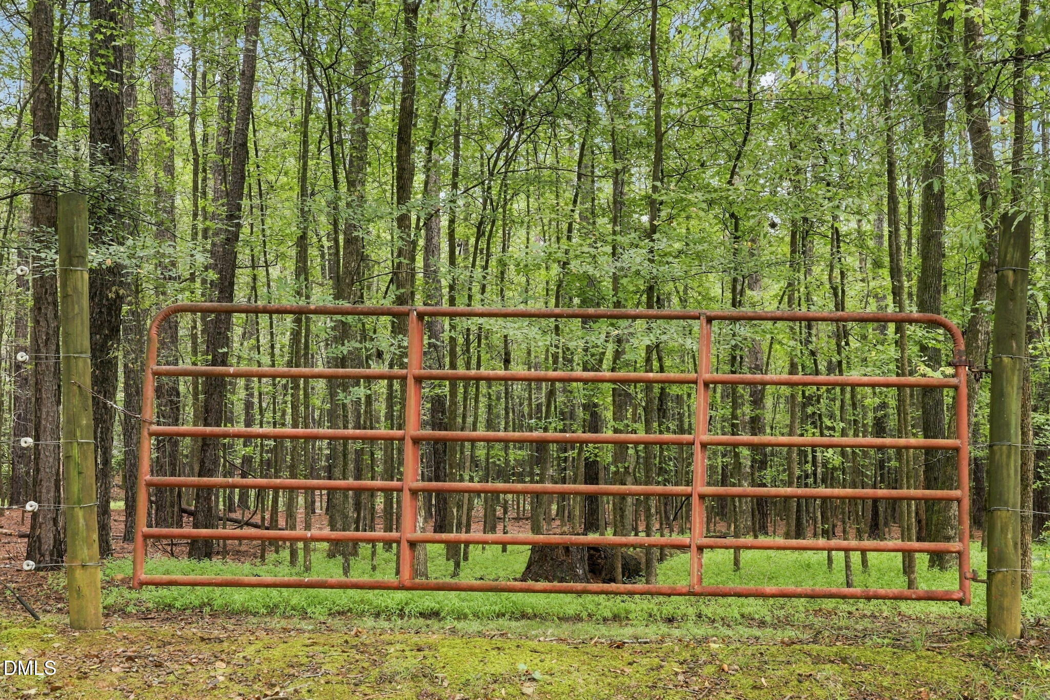 main property photo 48