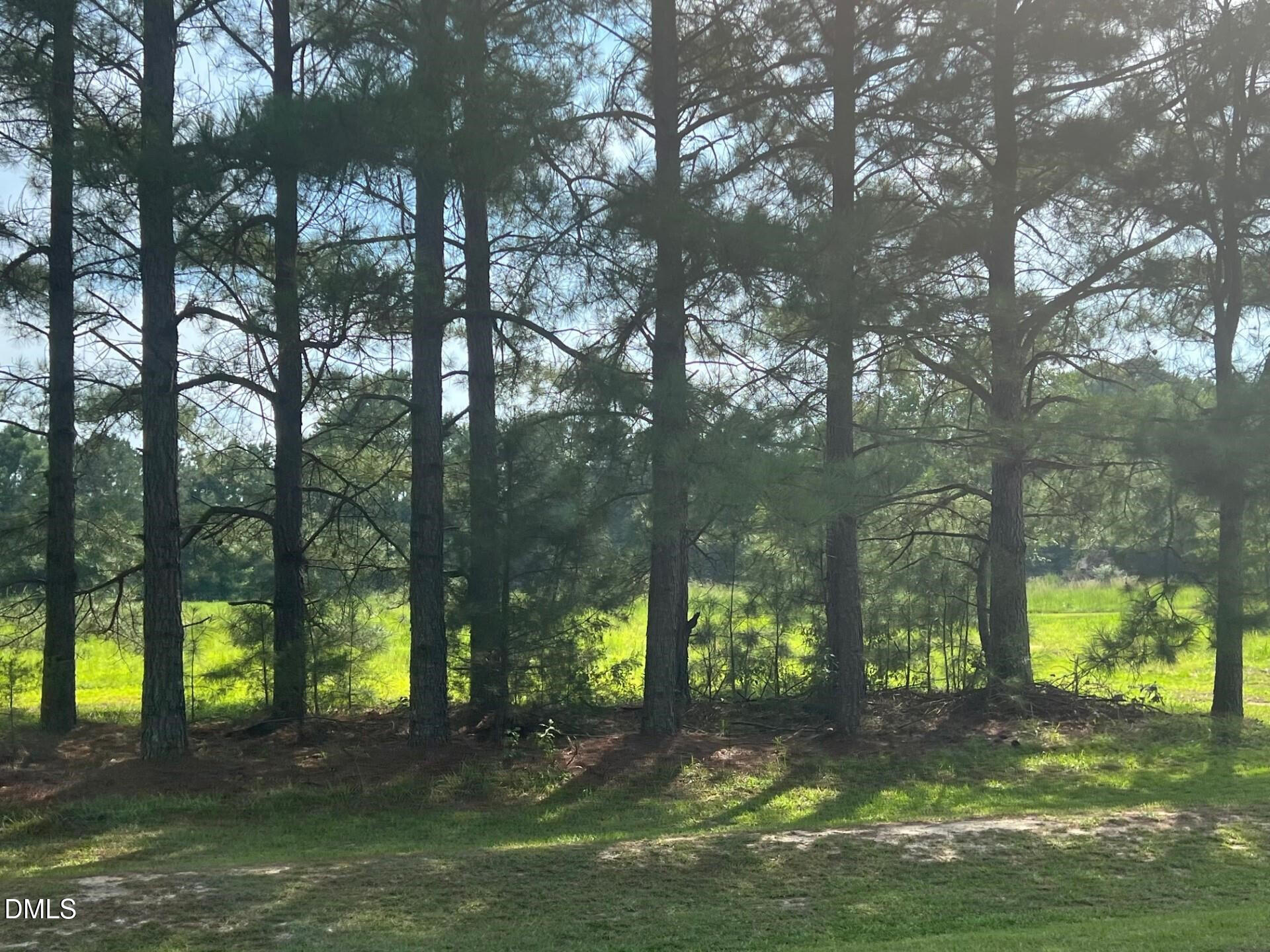 main property photo 4