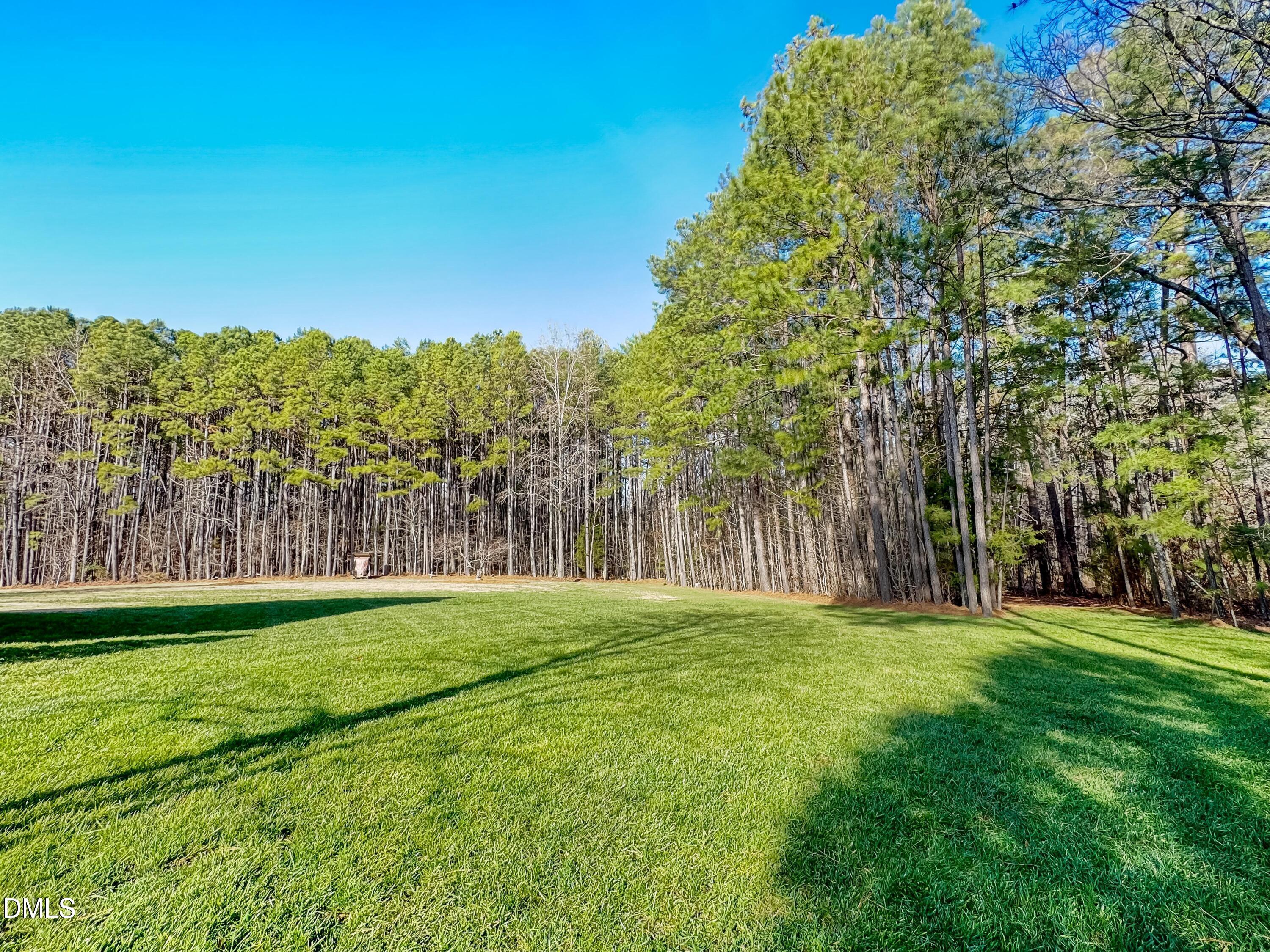 main property photo 58