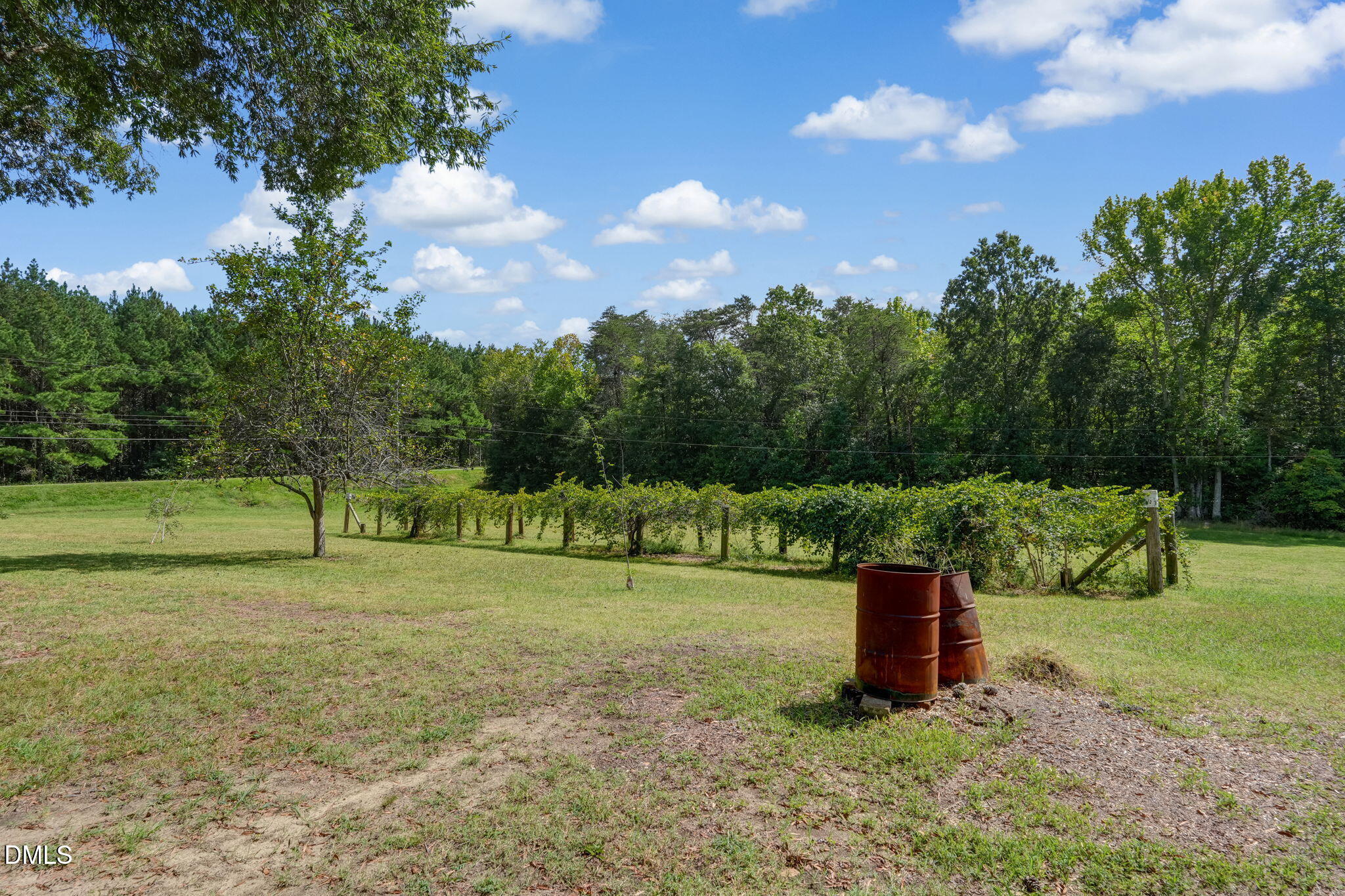 main property photo 38
