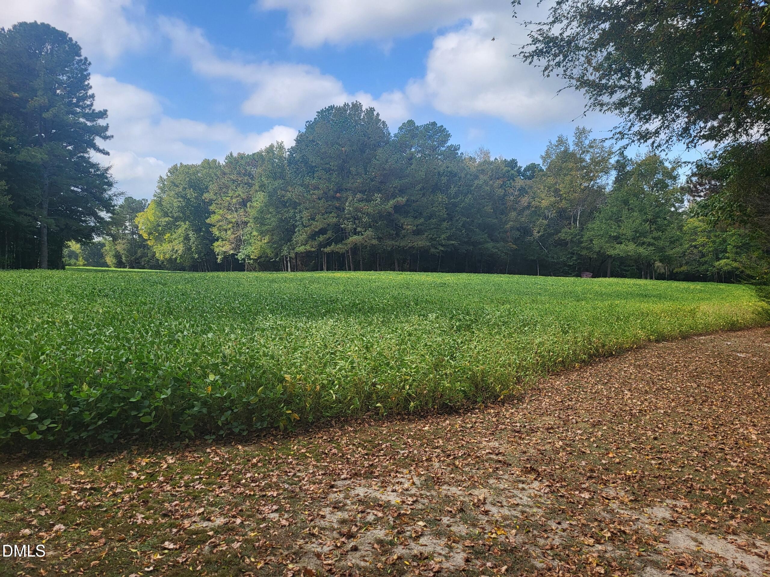 main property photo 71