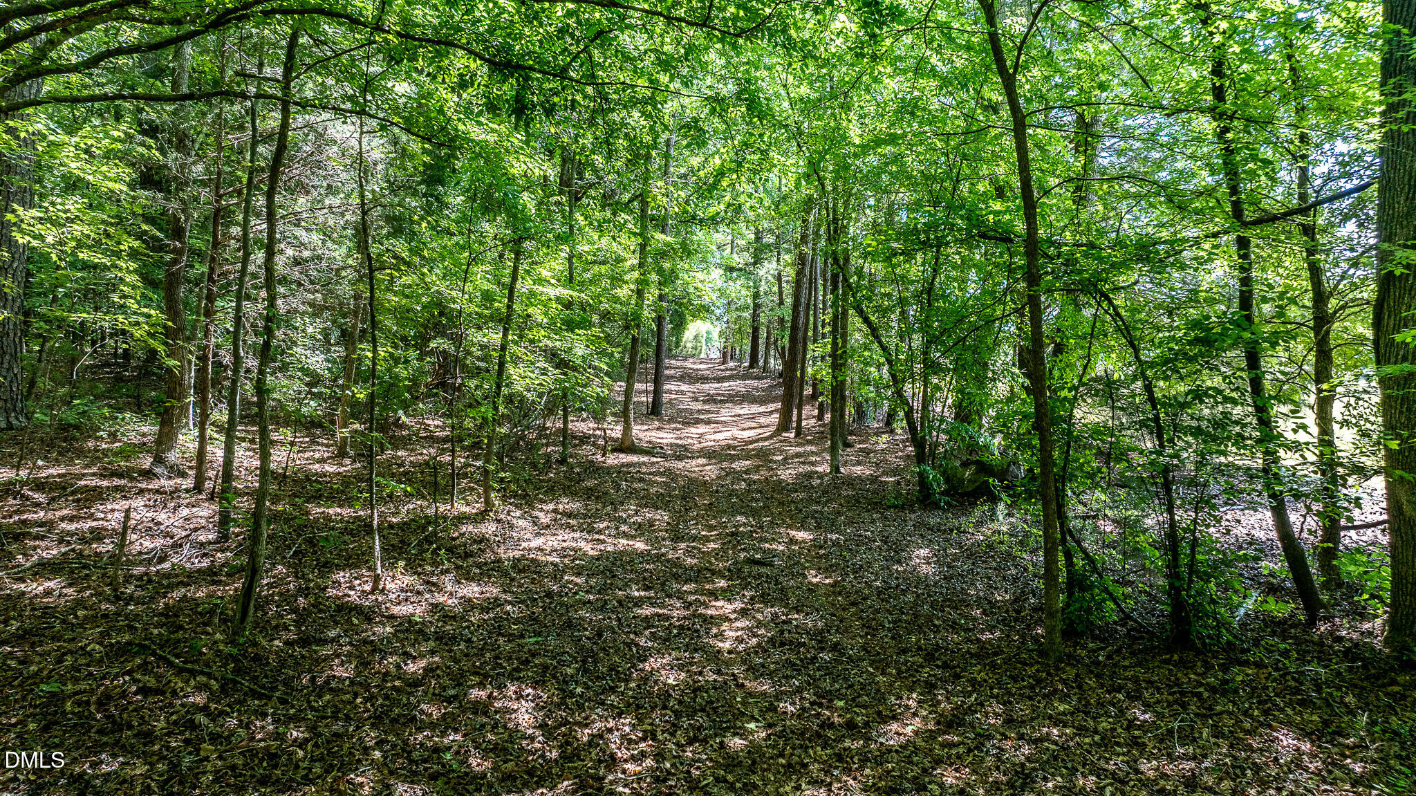 main property photo 92