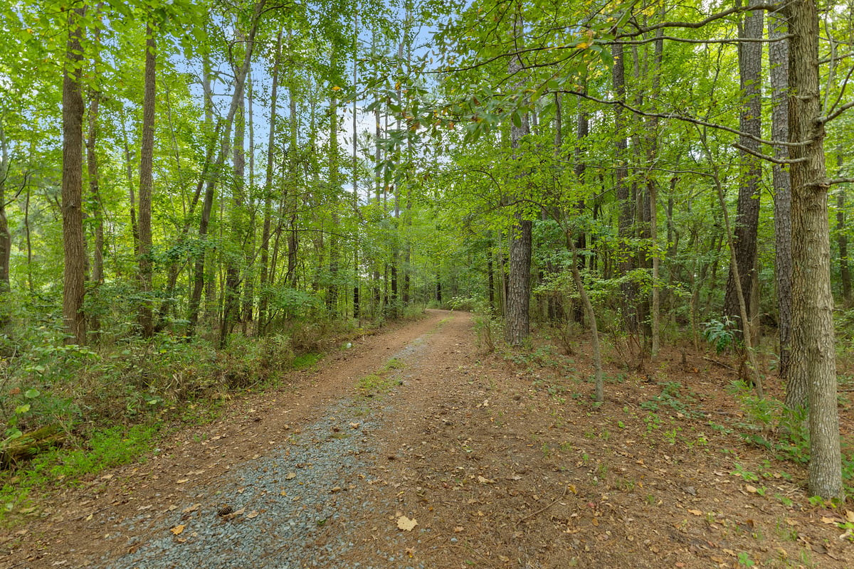 main property photo 61