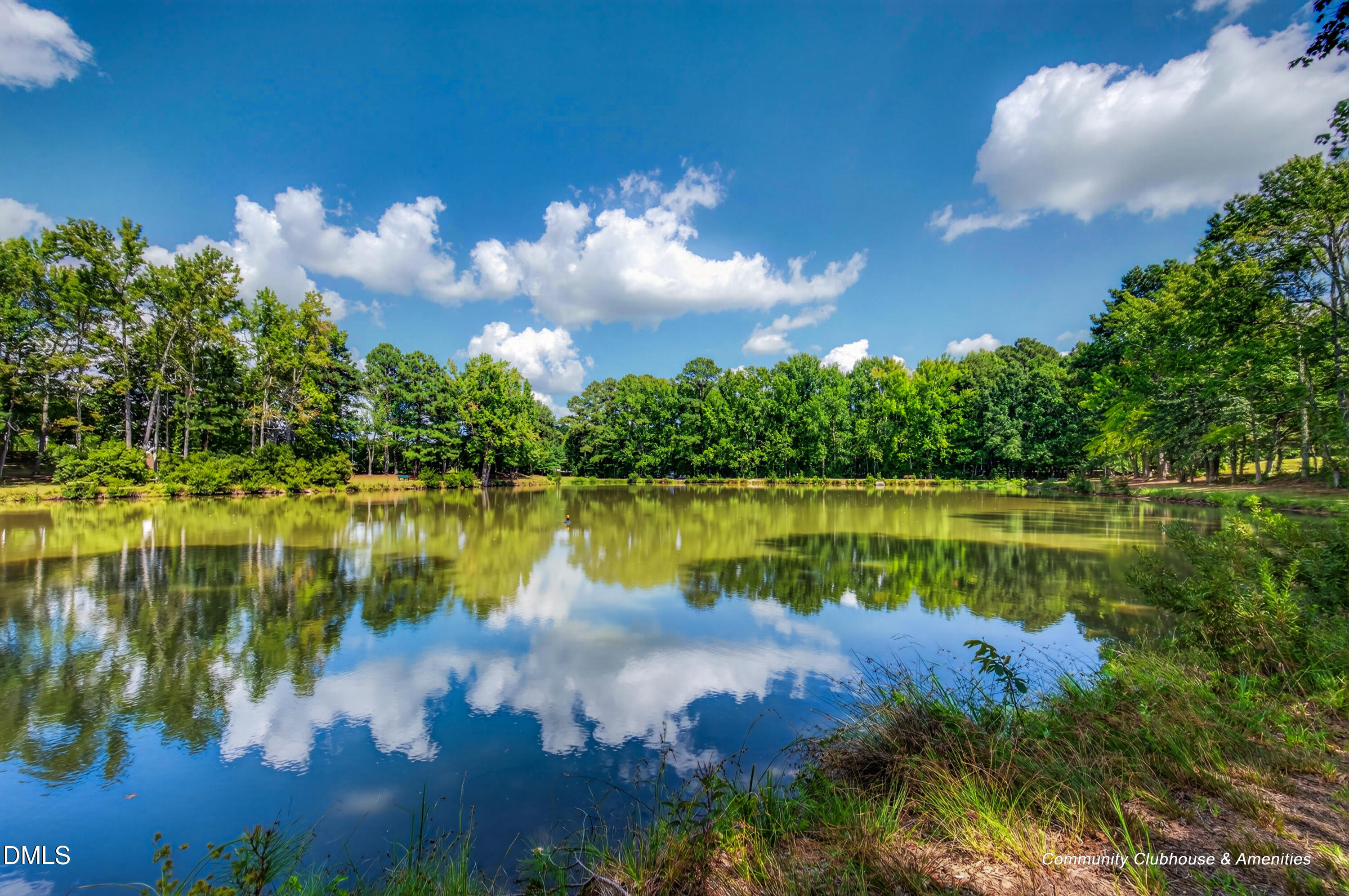 main property photo 51