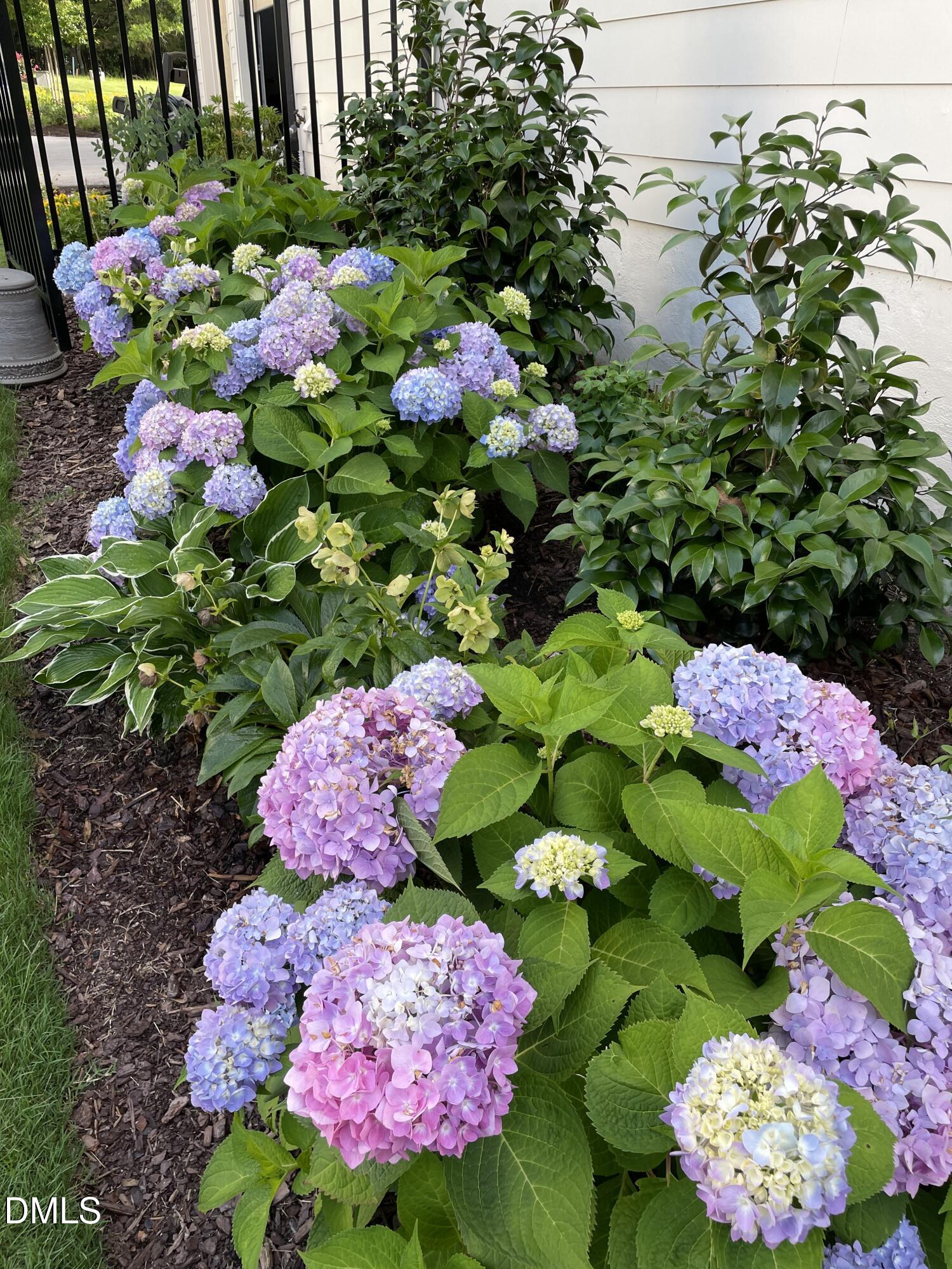 main property photo 56