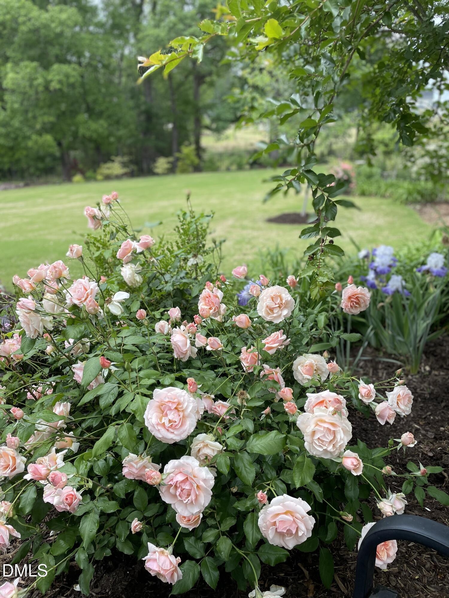 main property photo 57