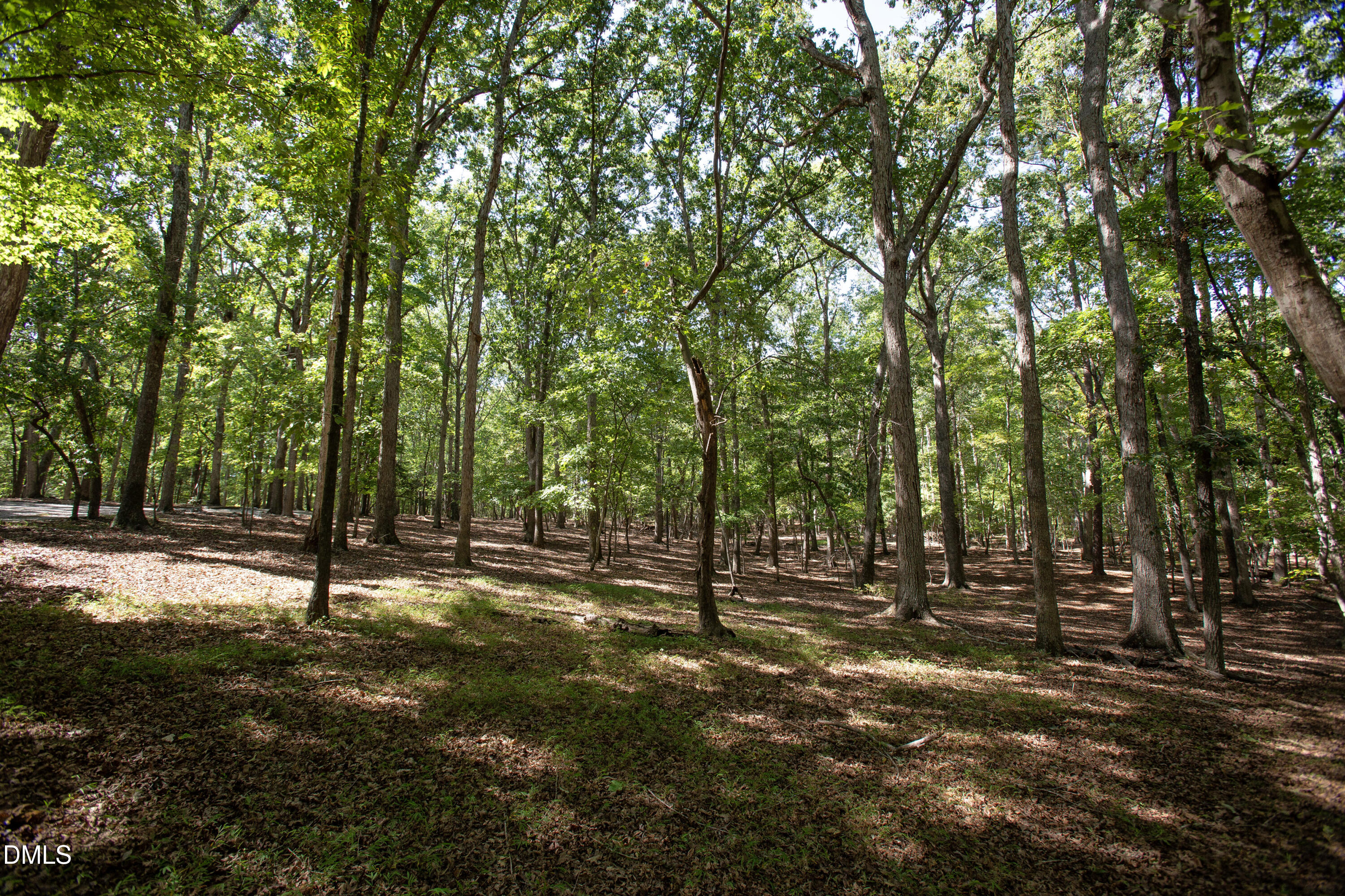 main property photo 25