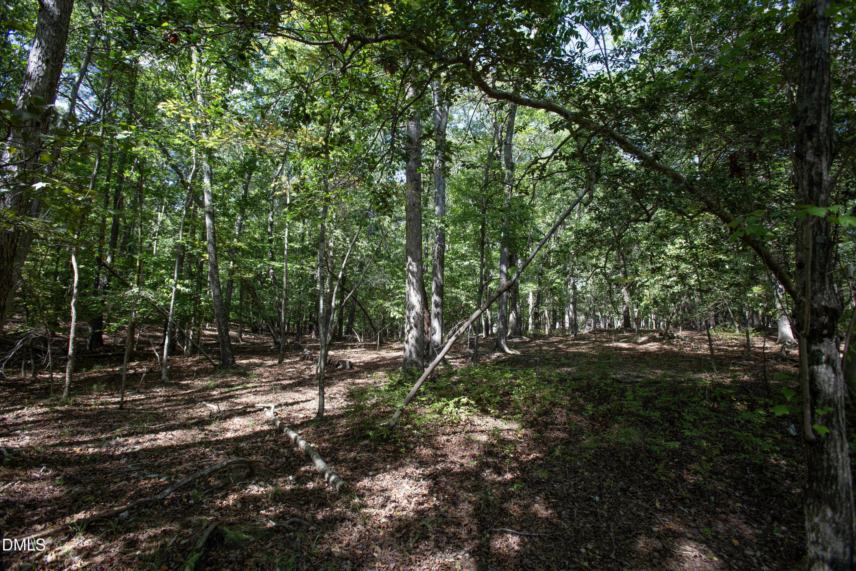 main property photo 32