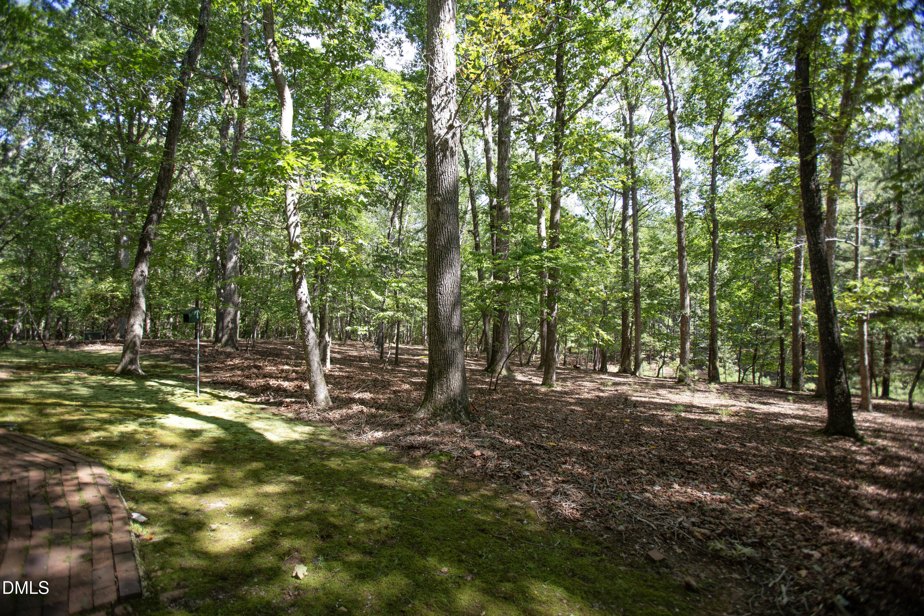 main property photo 44