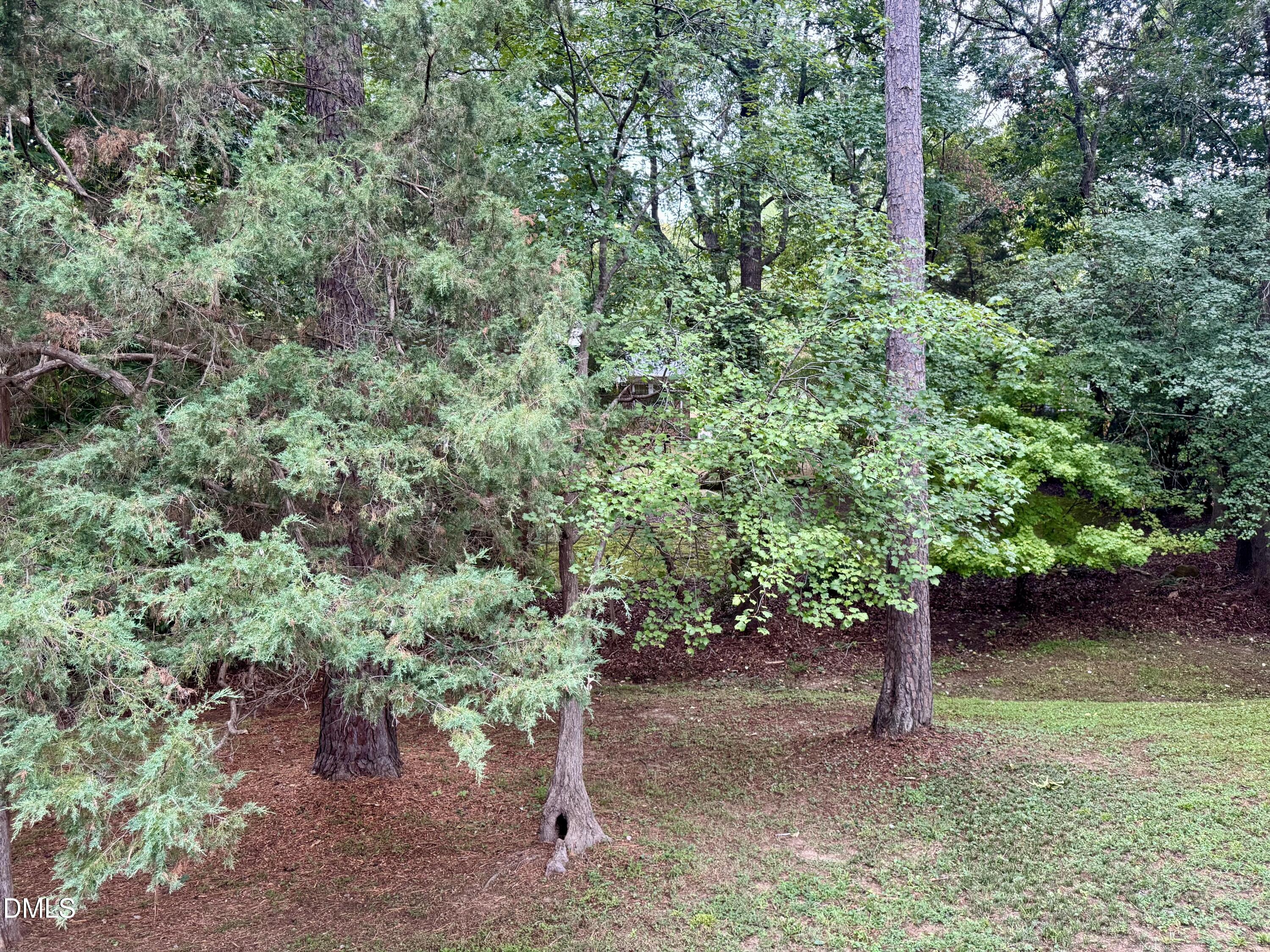 main property photo 52