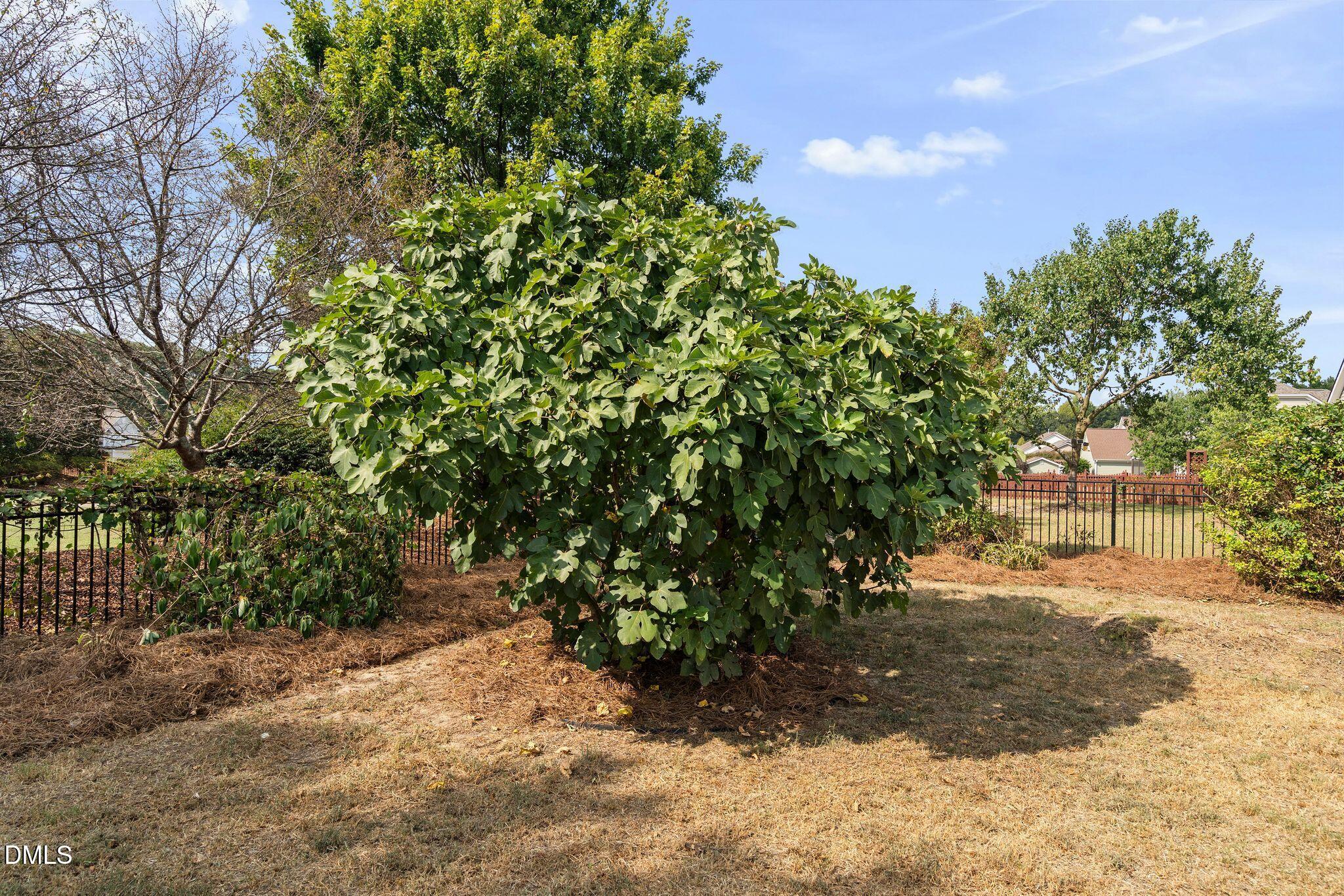 main property photo 47