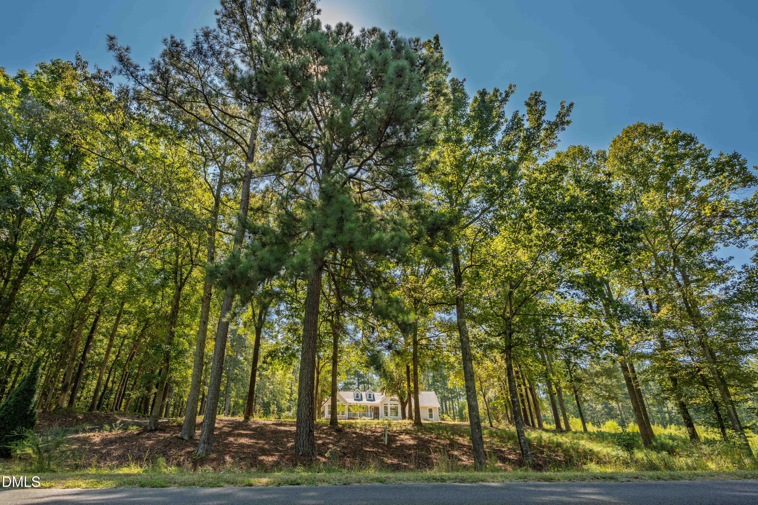 main property photo 62