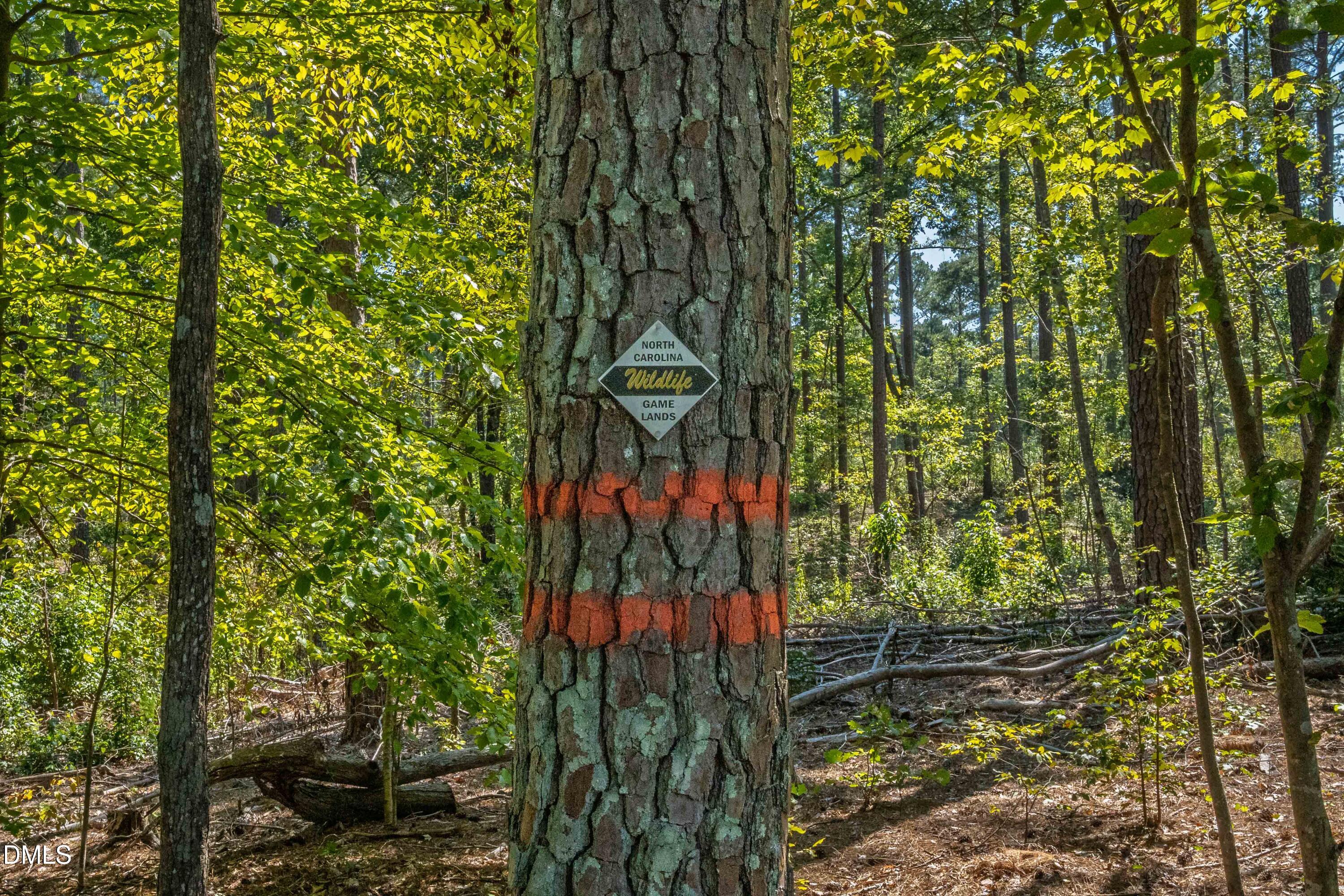 main property photo 66