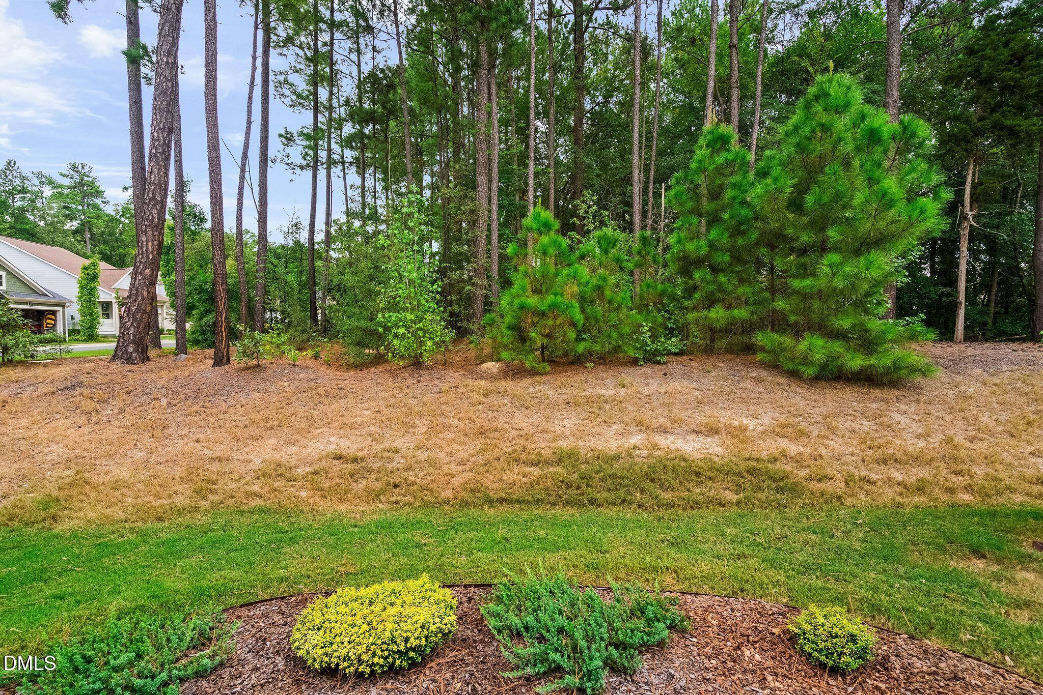 main property photo 53