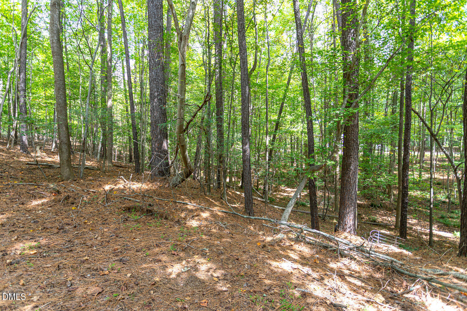 main property photo 19