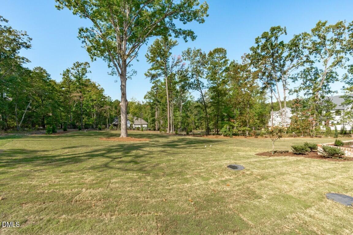 main property photo 54